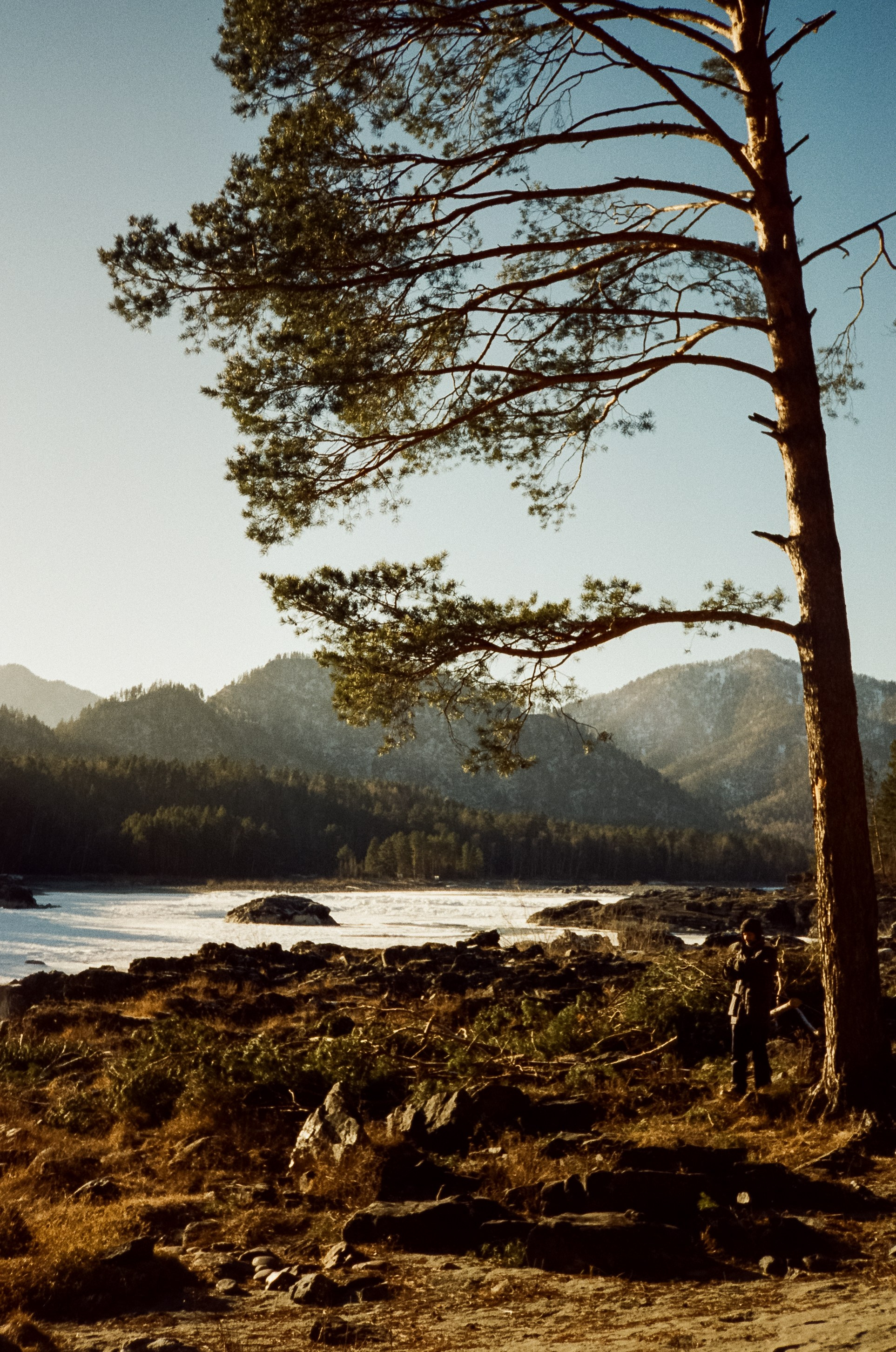 Зимний Coffee Bus в «летнем» лесу. Чемал. Фотограф-документалист Мария Осокина
