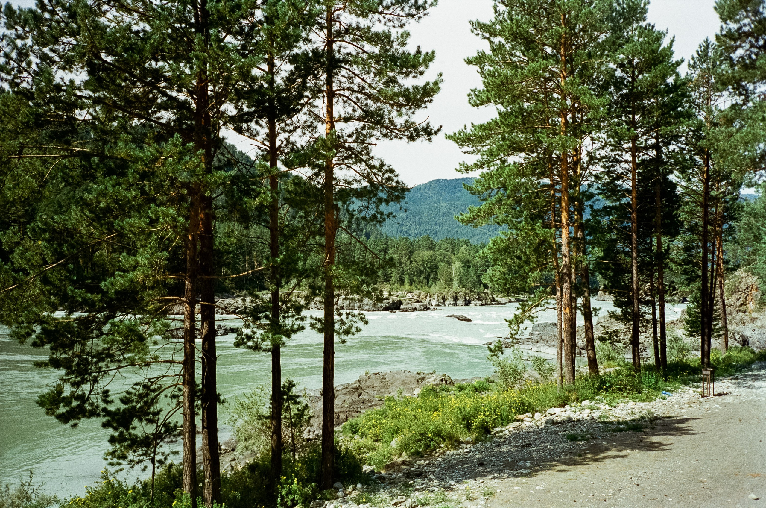 Кедровый остров, Катунь и скалы. Фотограф-документалист Мария Осокина