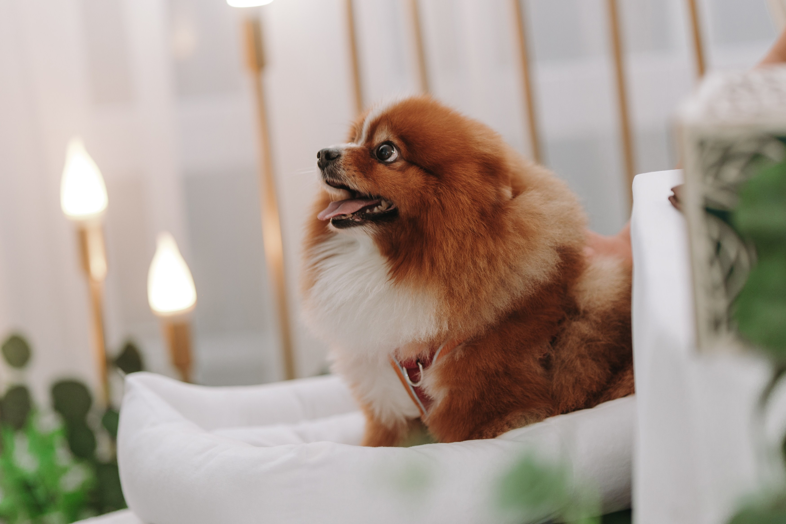 КИРОВСКИЙ ЗАГС, ЖК ИМПЕРИАЛ, ПАМЯТНИК БУРОВОЙ УСТАНОВКЕ, РЕСТОРАН ГРИ ХОЛЛ УФА