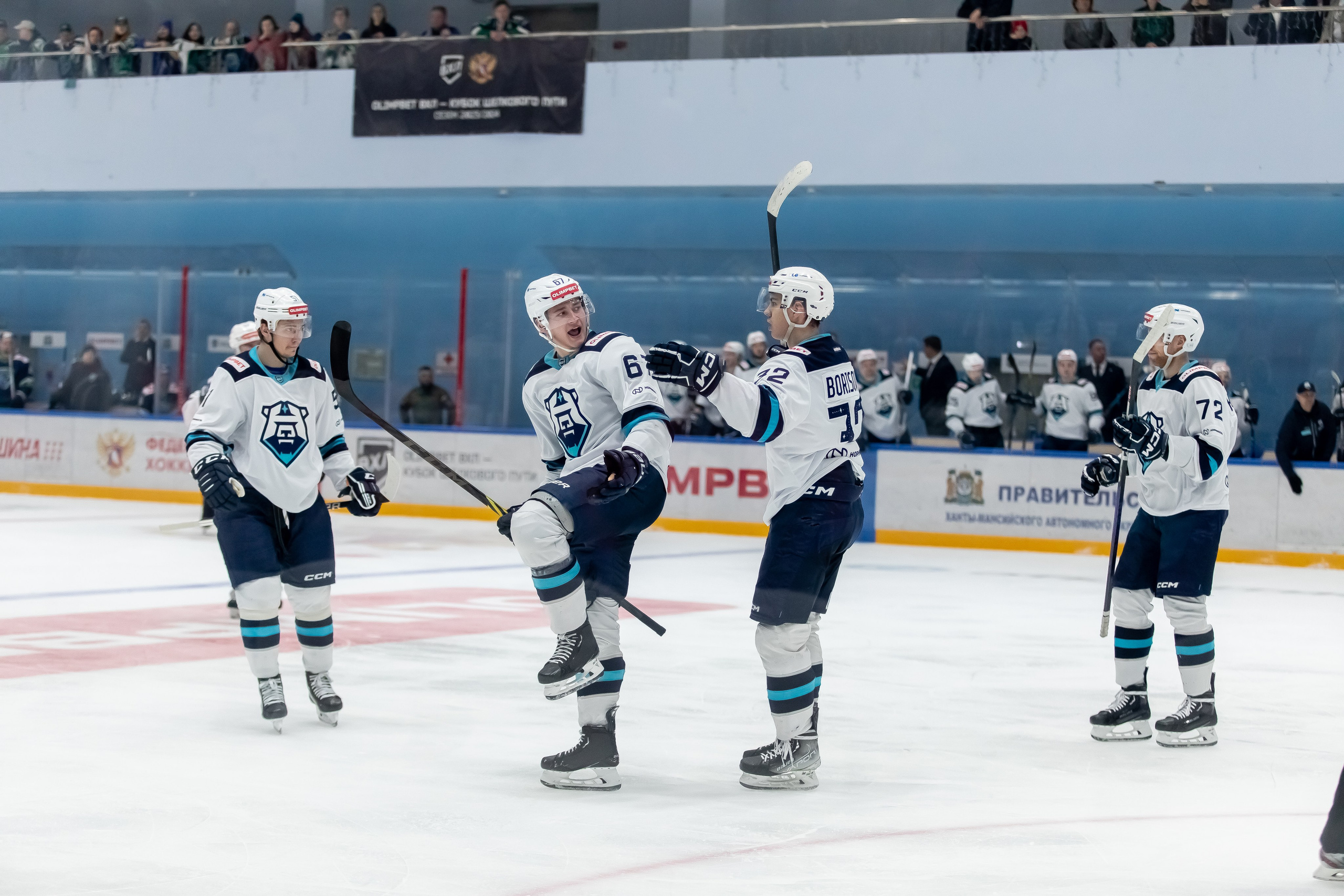 Хоккей. Фотограф Тимербаева Алина г. Сургут