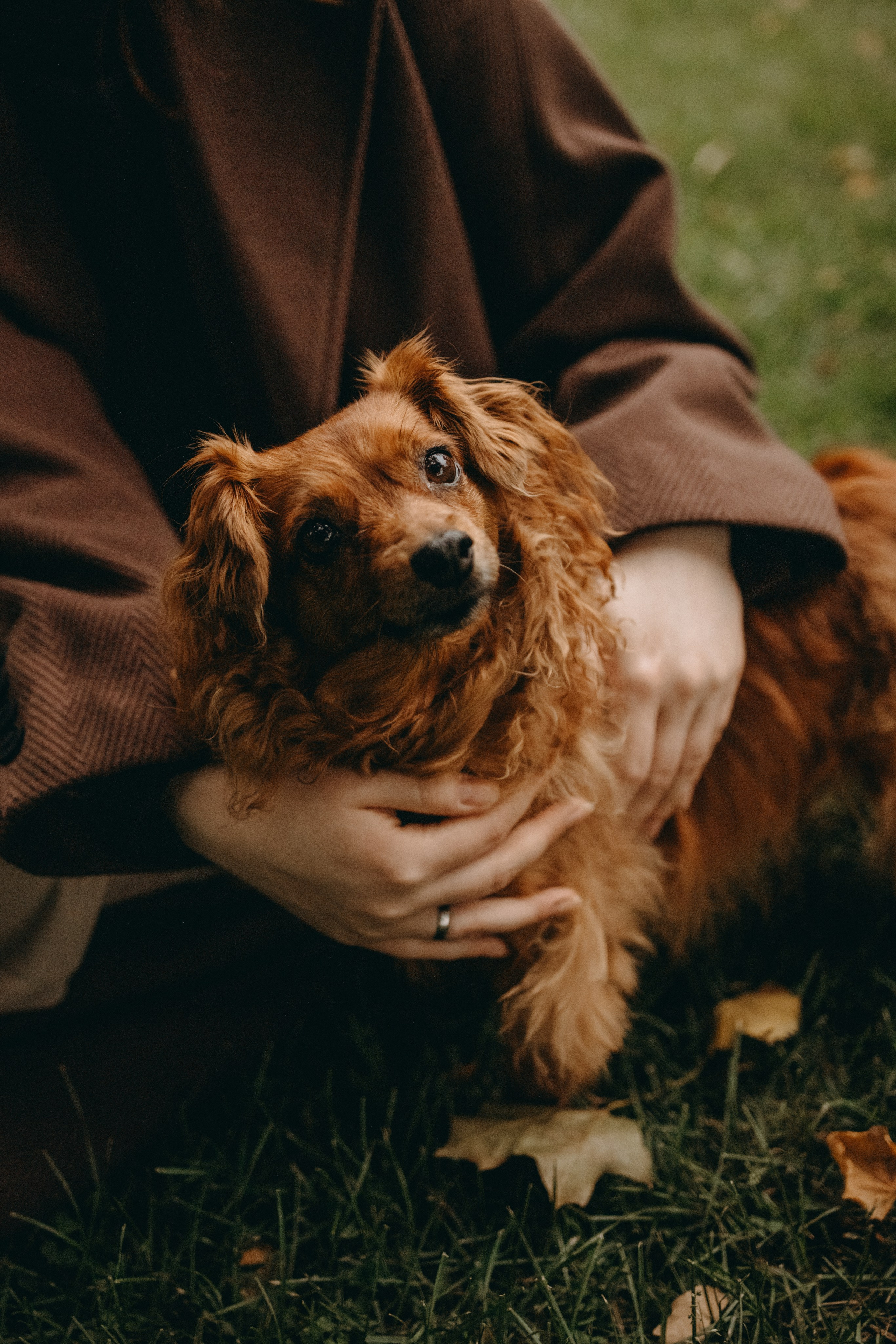 Жу и ее семья. Фотограф — Анималист | Санкт-Петербург