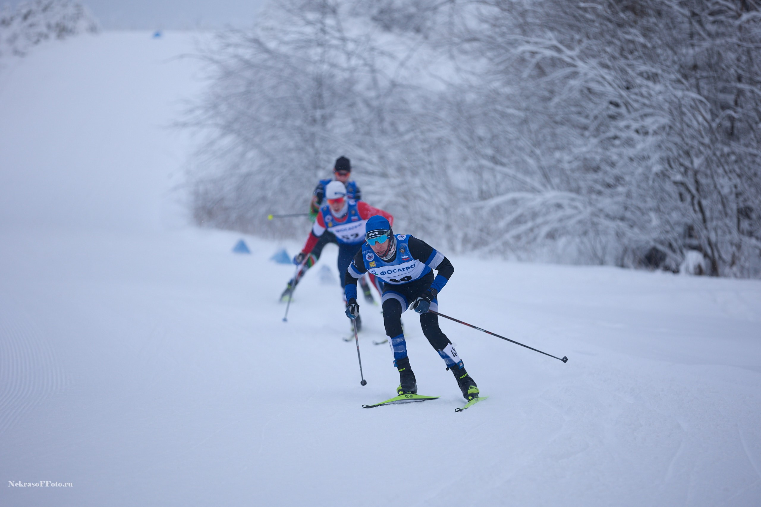 Кубок России по Лыжным гонкам. Спортивный фотограф Некрасов Денис