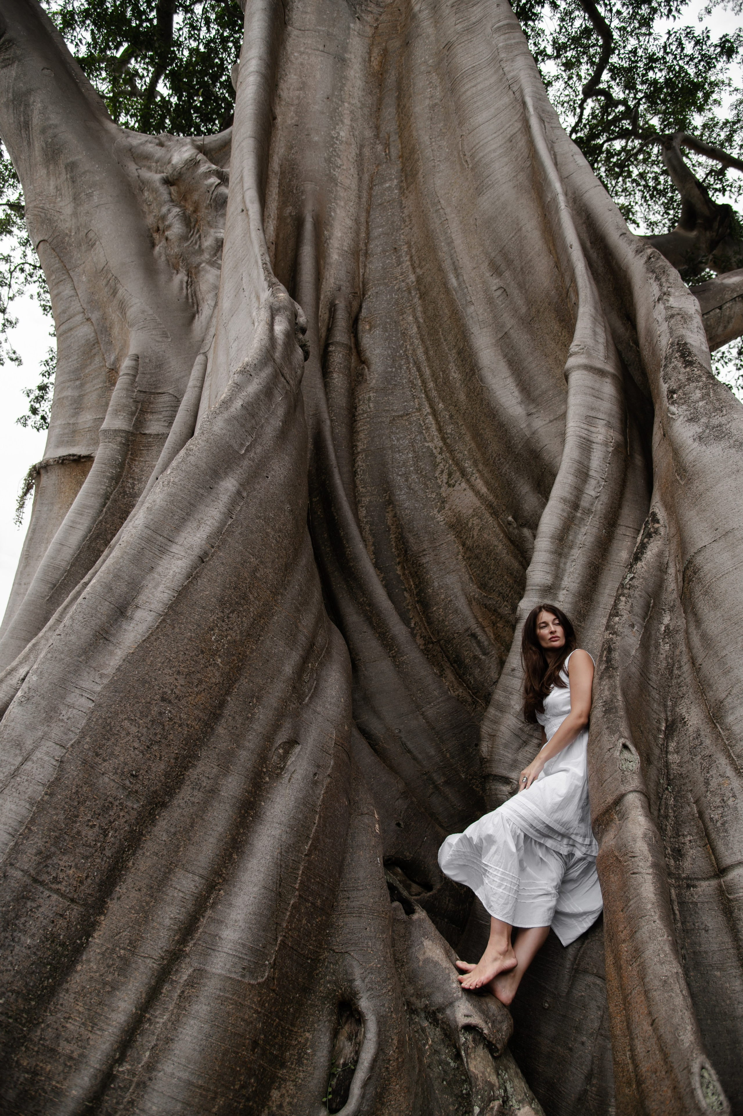 Bayan Tree. Свадебный фотограф в Ростове Максимов Максим