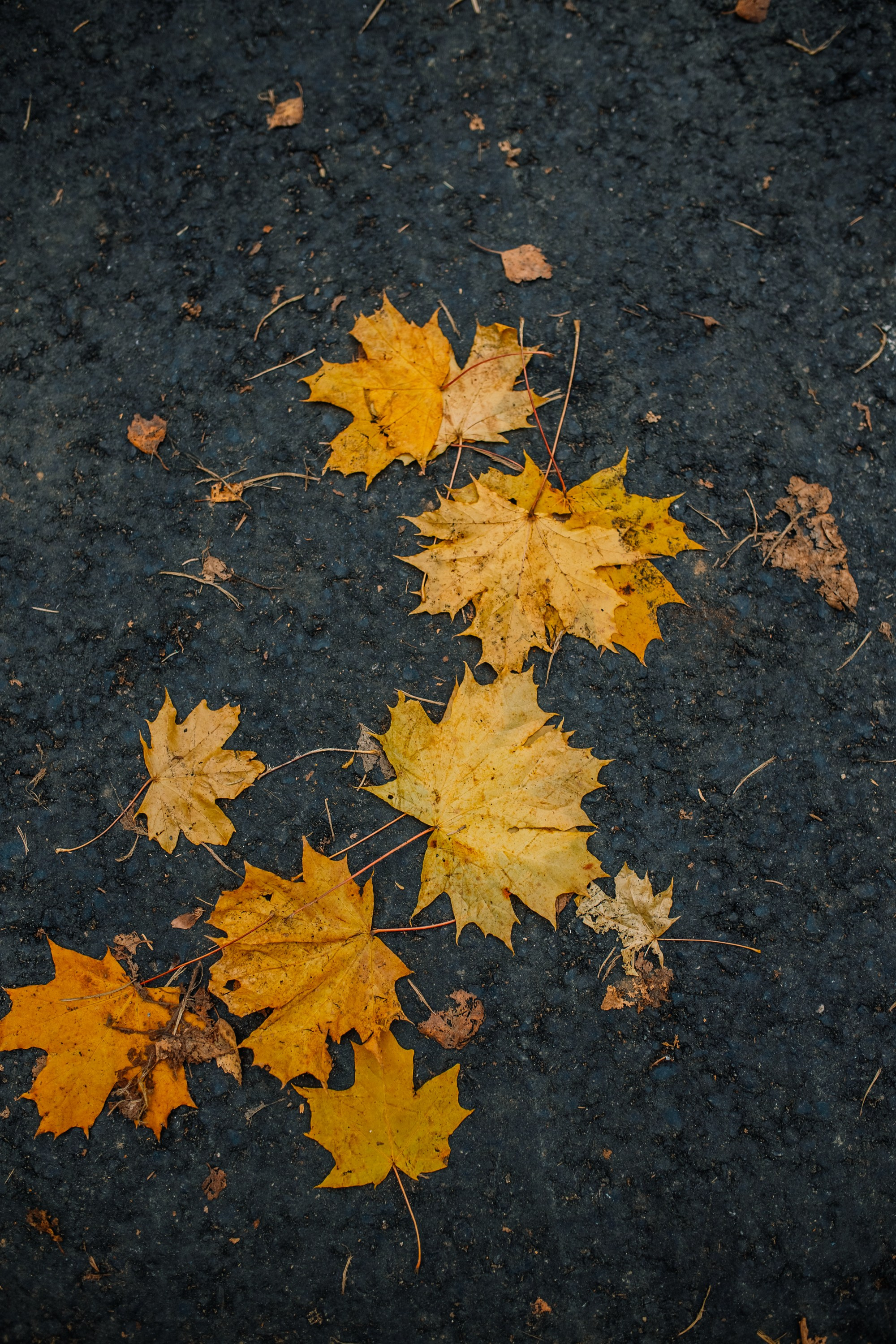 Как мы пошли за третьим. Фотограф Оля Батист