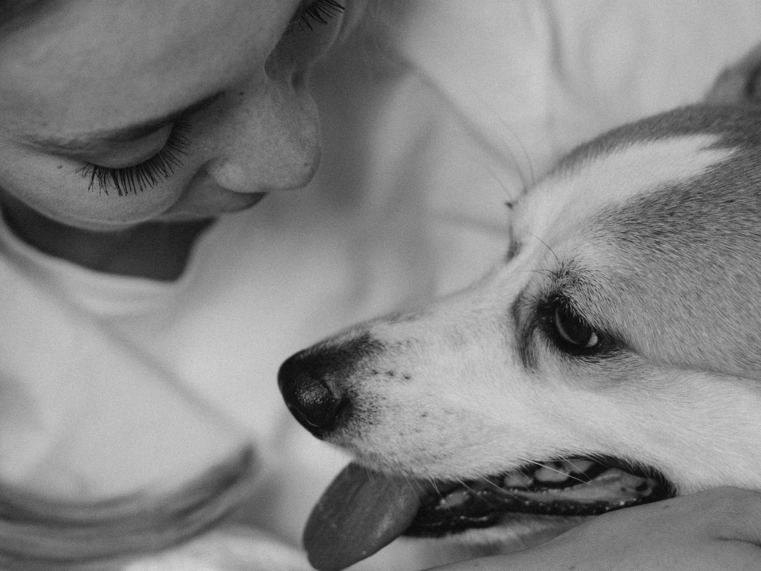 Оливка и Ника. Фотограф-анималист в Москве Кириллова Татьяна