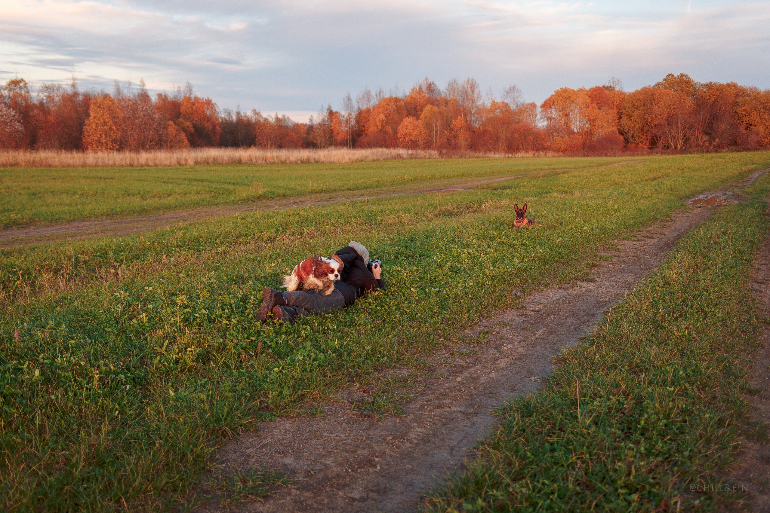 Октябрьский закат в полях. Алина и Лео. Фотограф-анималист Наталия Чистюхина в г. Сосновый Бор и ЛО