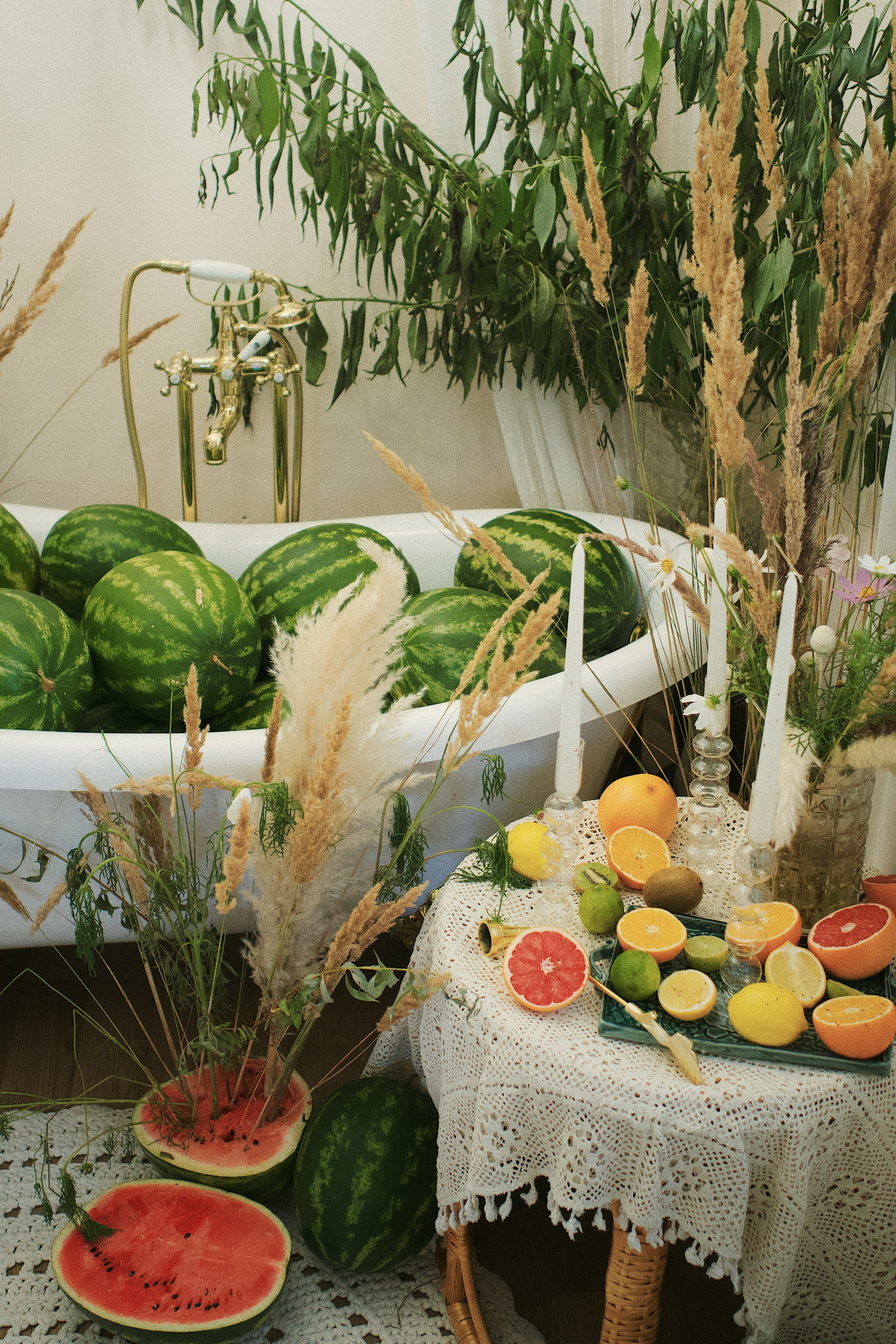 Fazenda. Photokoval.ru