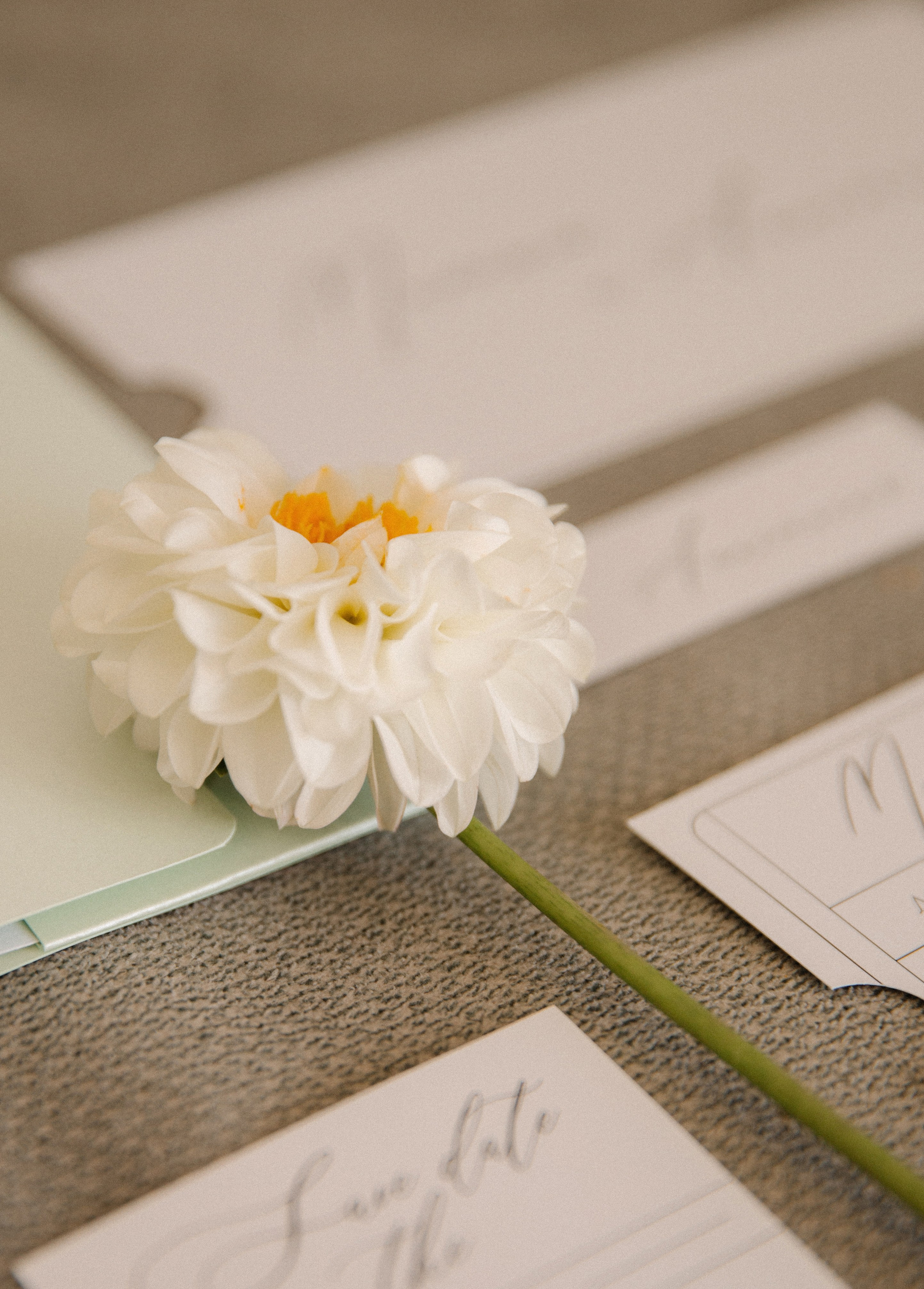 Анастасия | Максим. Фотограф в Краснодаре и Краснодарском крае