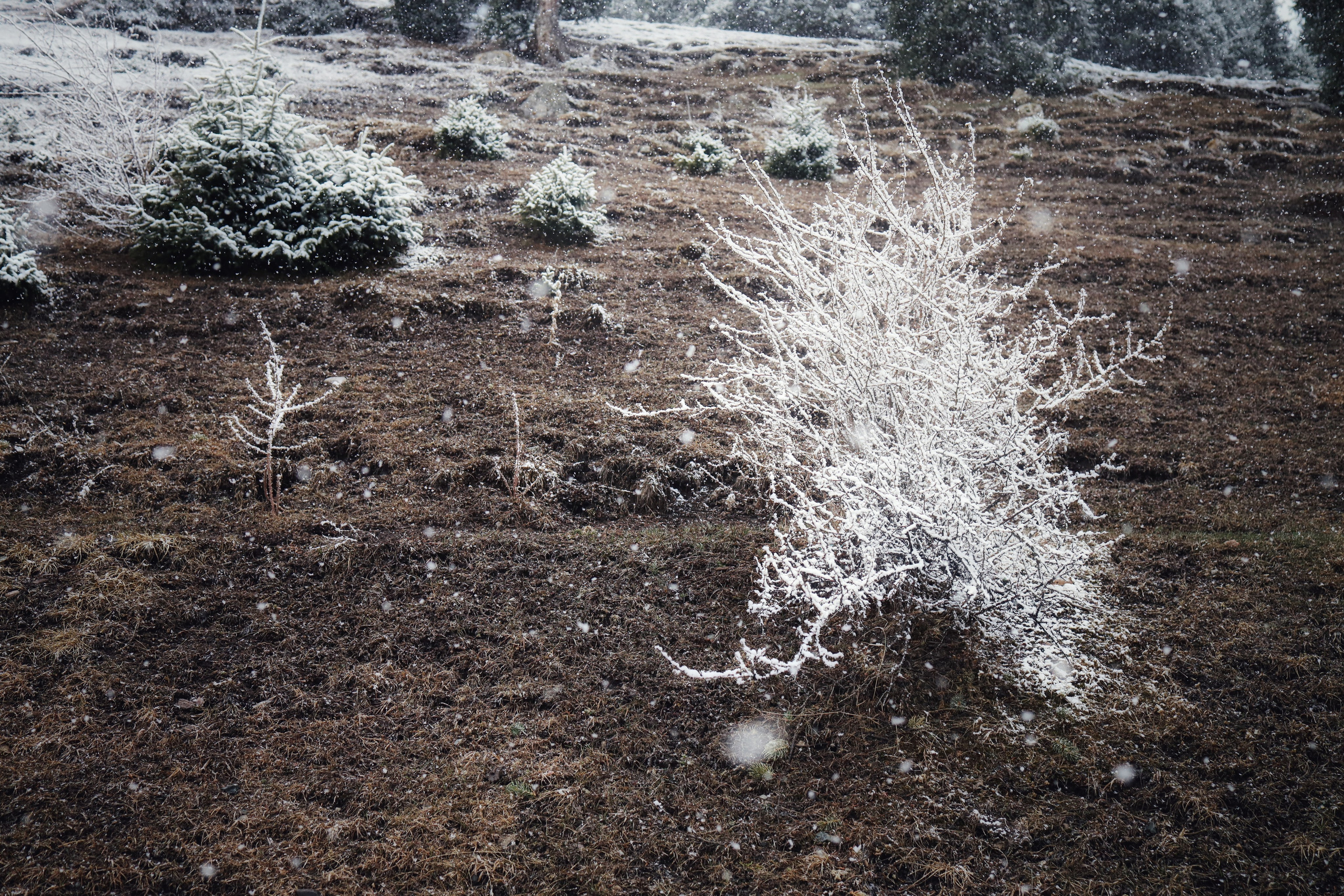 Around Issyk-Kul / Spring, Summer, Fall, Winter… and Spring. POLINA MÔMOT