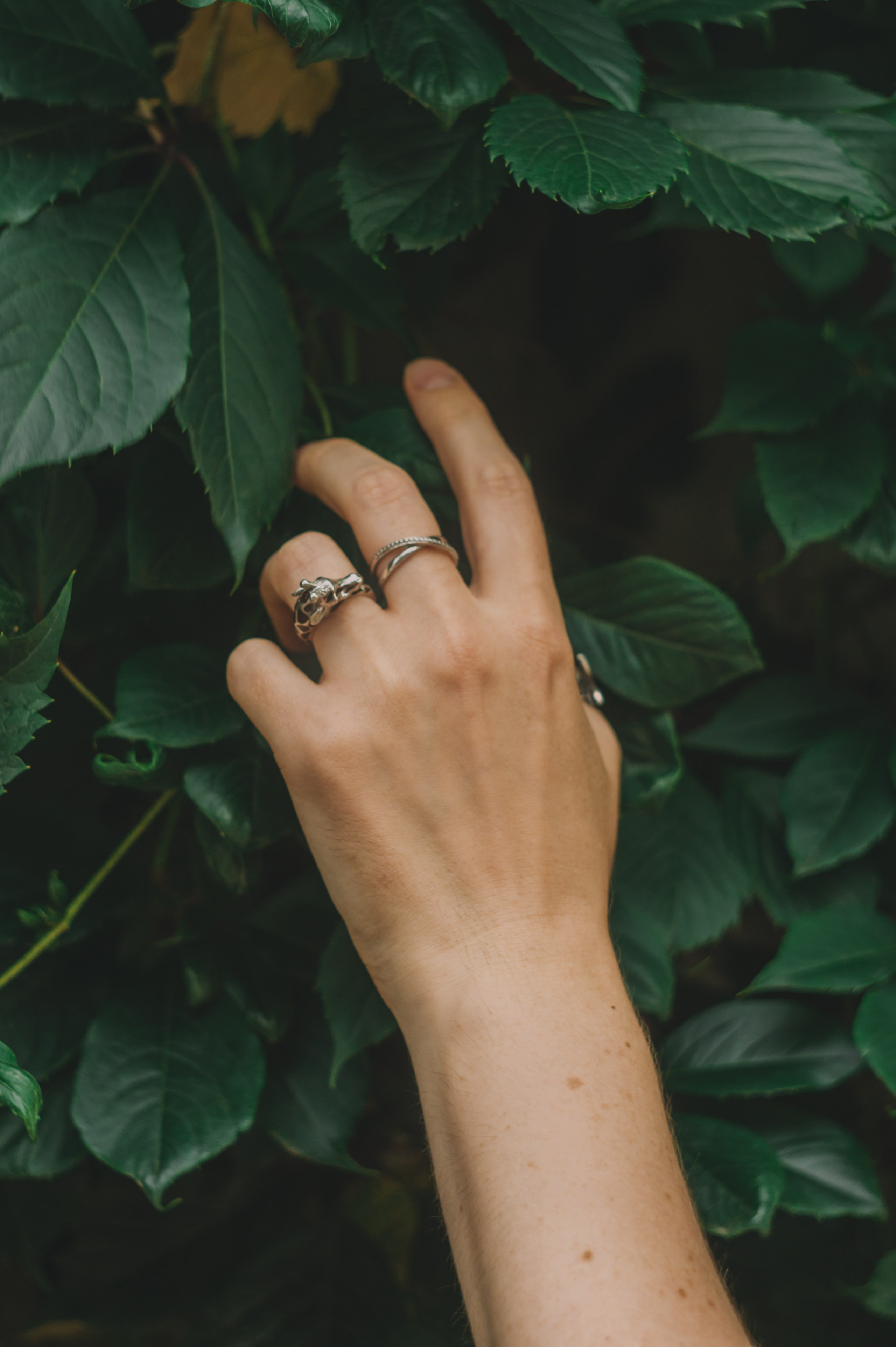 Любовь. Фотограф Людмила Белова