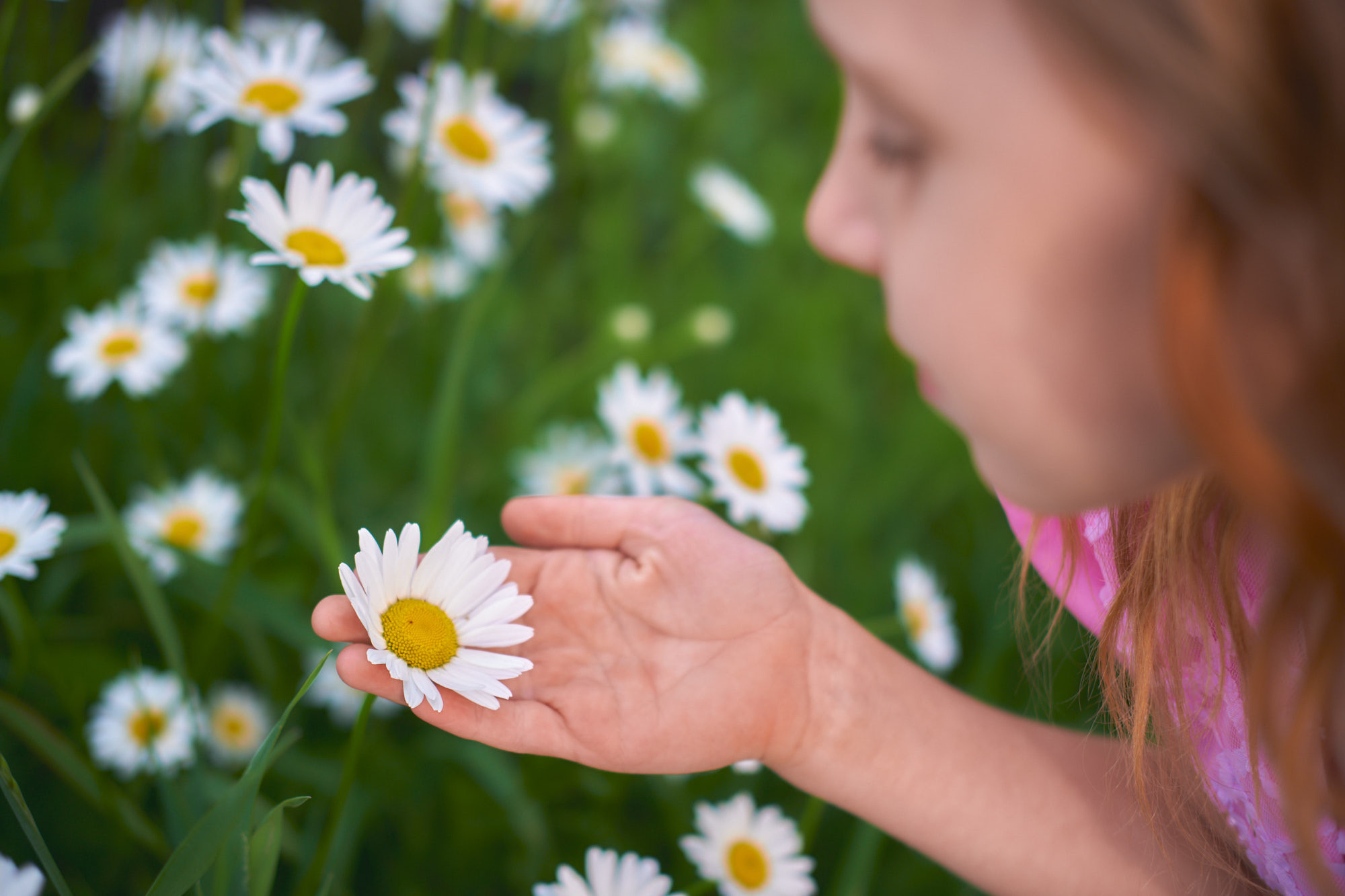 Дети. Семейный и женский фотограф в Новомосковске и Узловой Михеева Татьяна