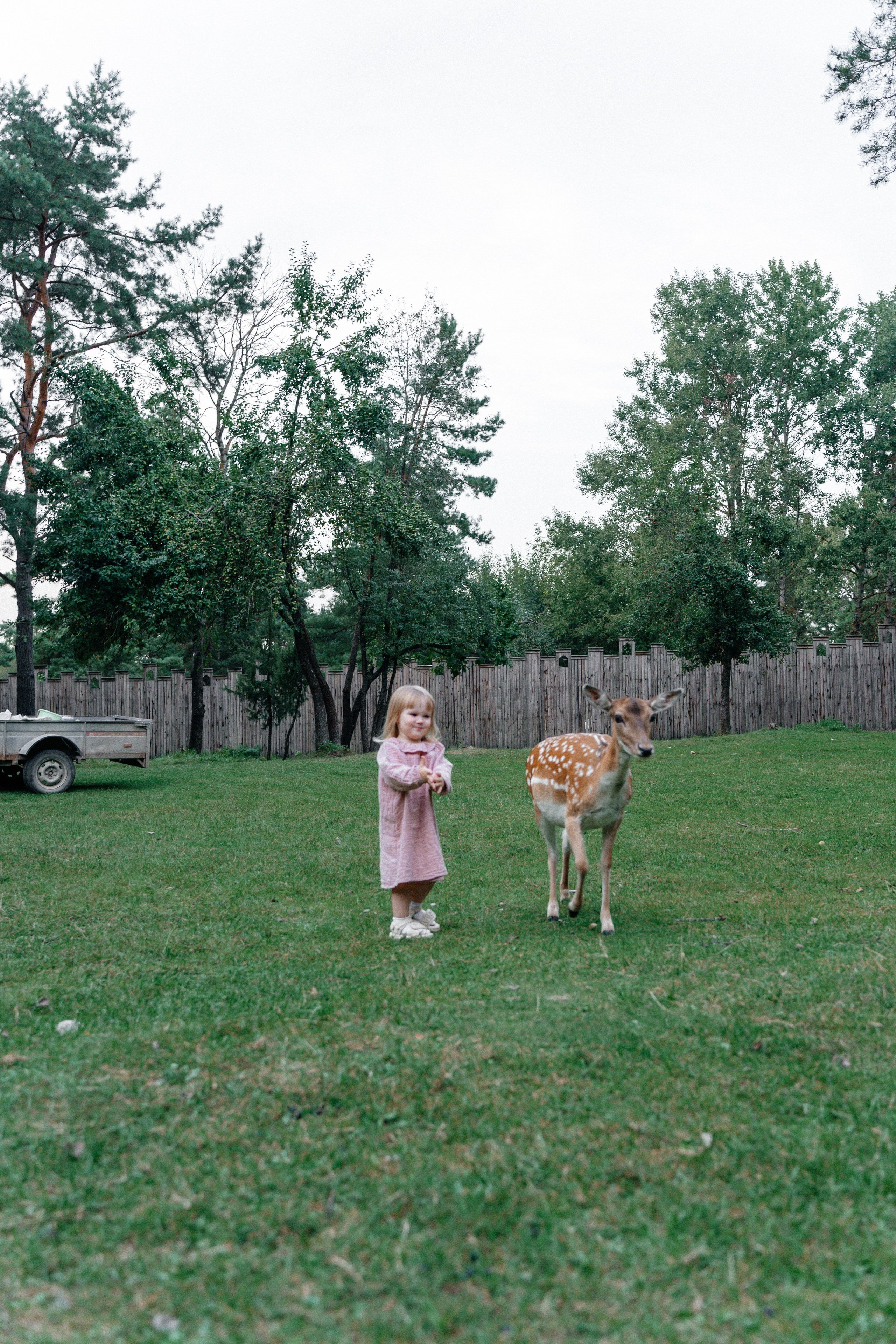 Диприз — в мире диких животных. Ваш семейный фотограф в Минске — Вика Трегубова