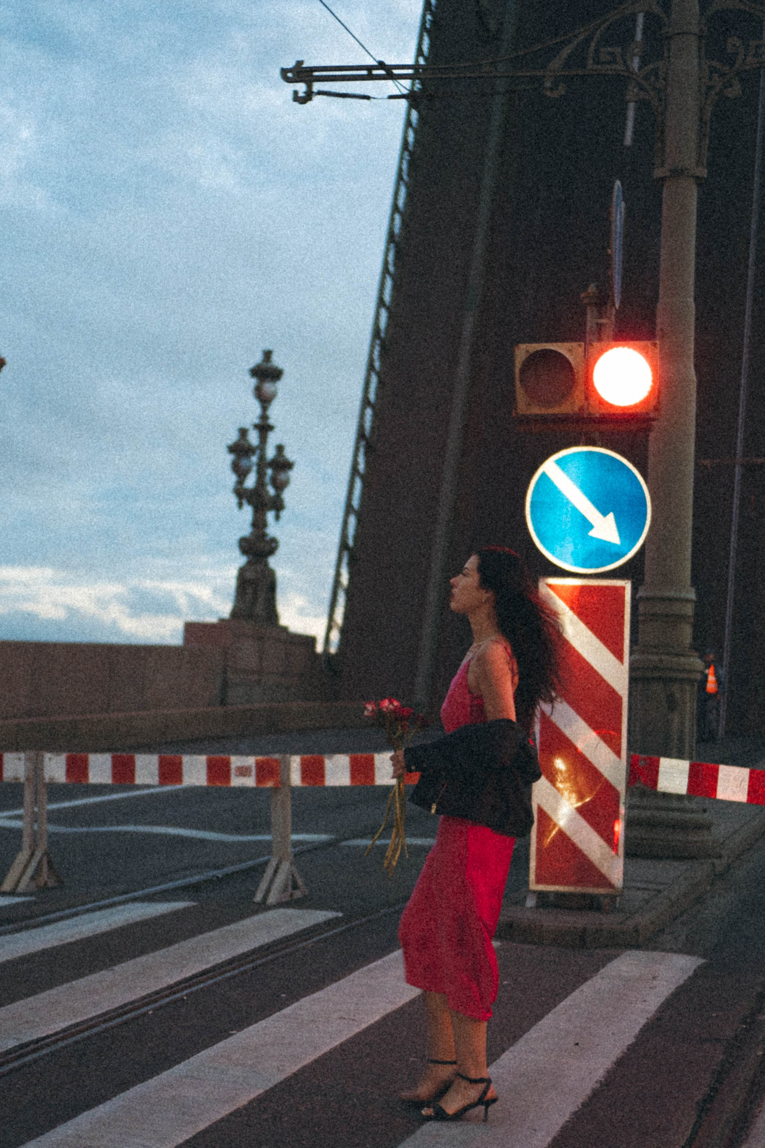 Ночная серия. Профессиональный фотограф, Санкт-Петербург — Виктория Богомолова