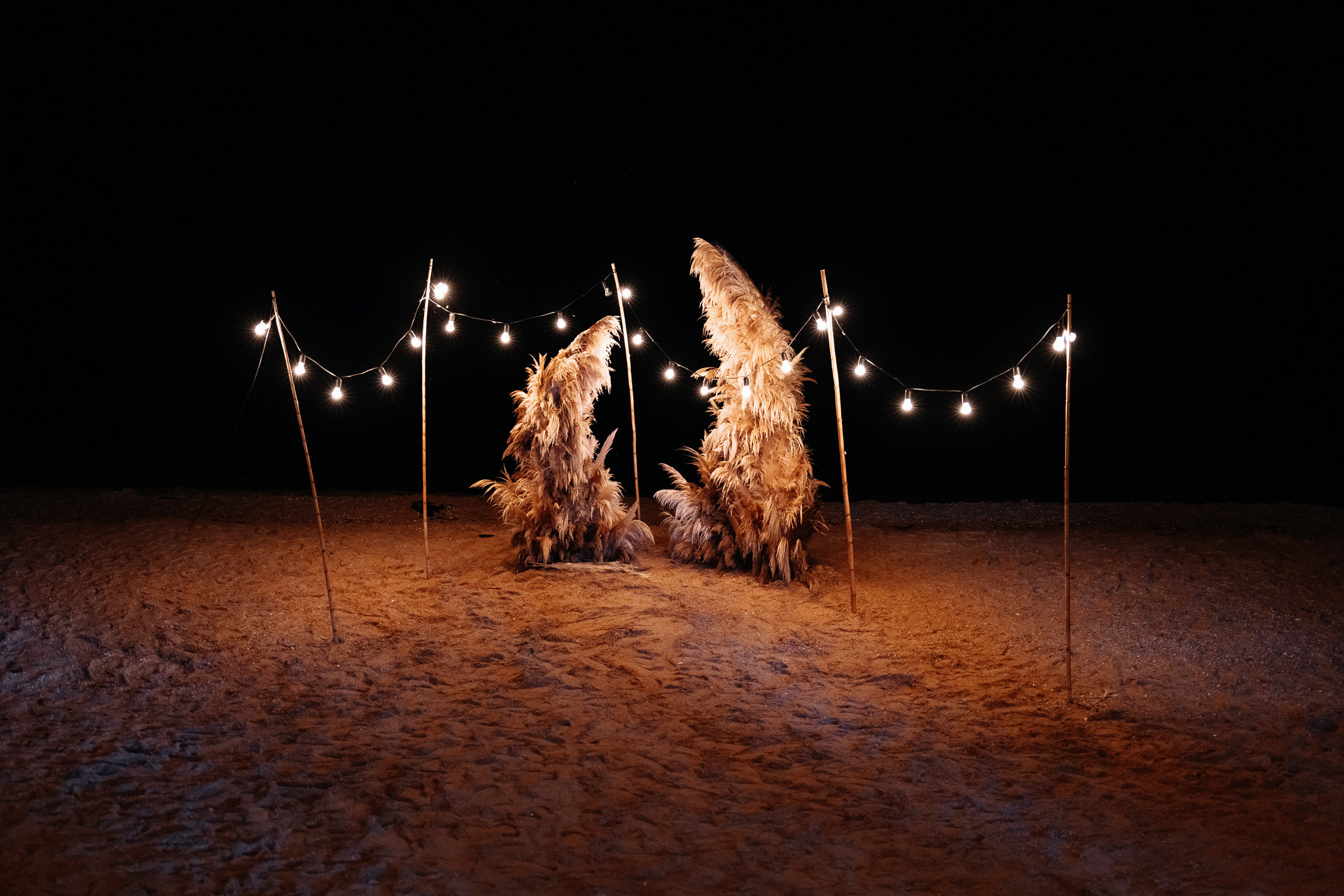 Степан и Юля. Свадебный фотограф Луганск Андрей Кийко Краснодар
