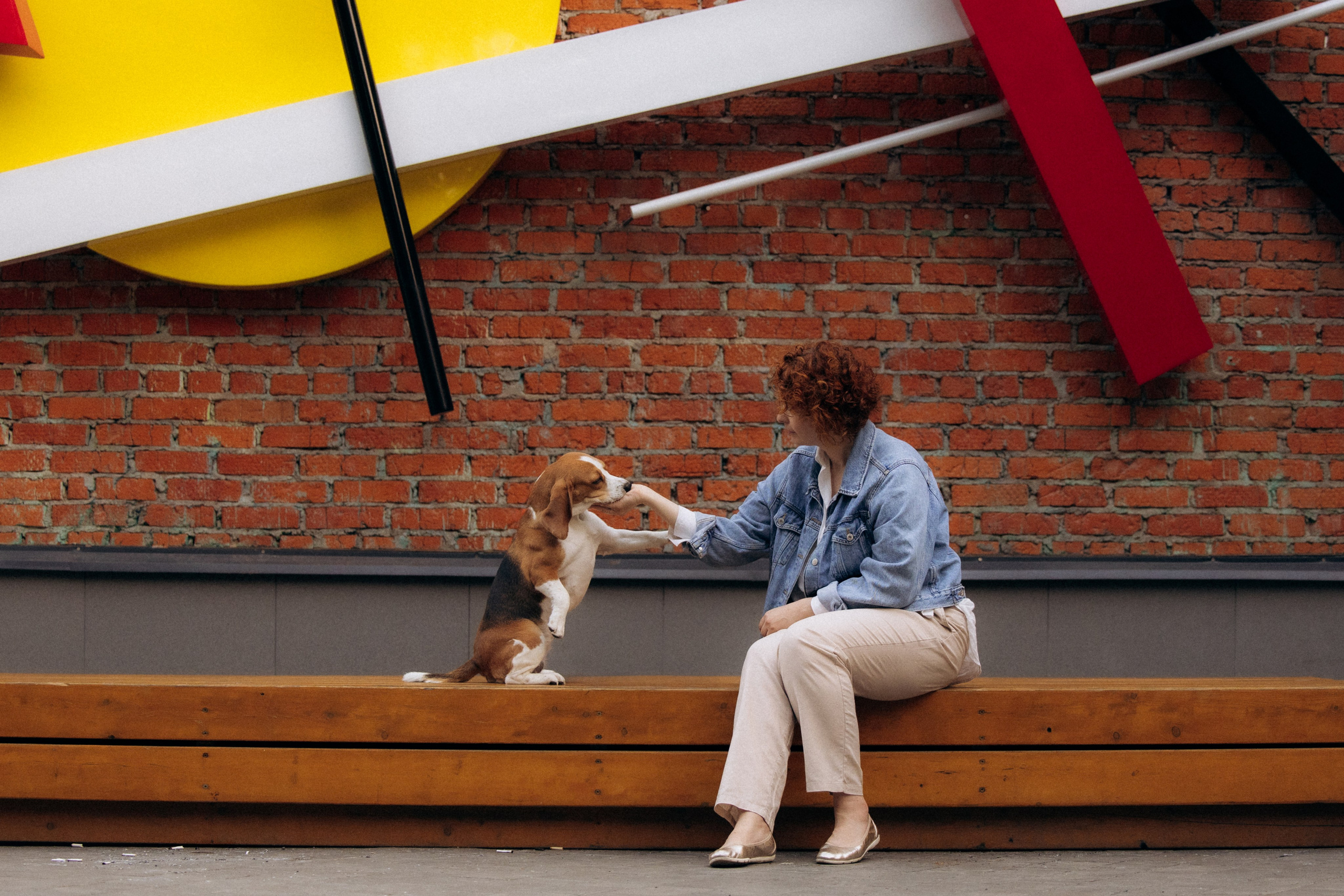Анна и Рэна. Рассвет в Москве. Фотограф анималист в Казани Алина Сулейманова. Фотограф животных