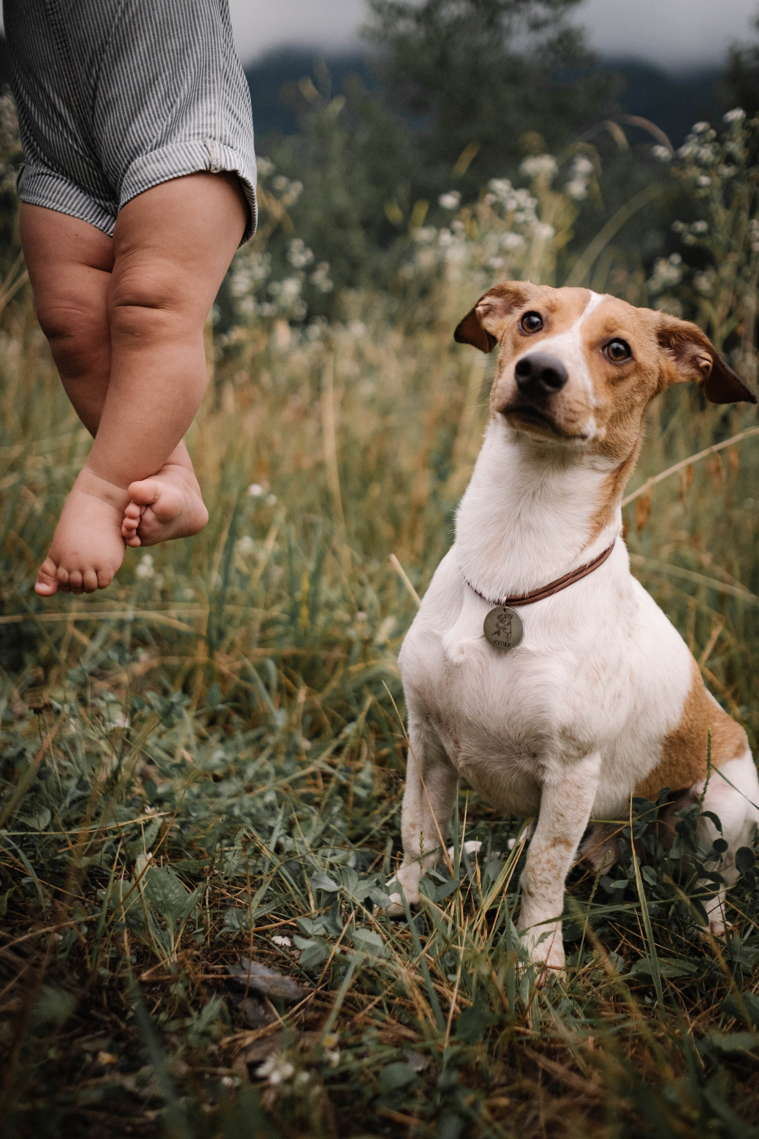 Семейная съемка в горах. Семейный фотограф в Санкт-Петербурге Дарья Косянчук