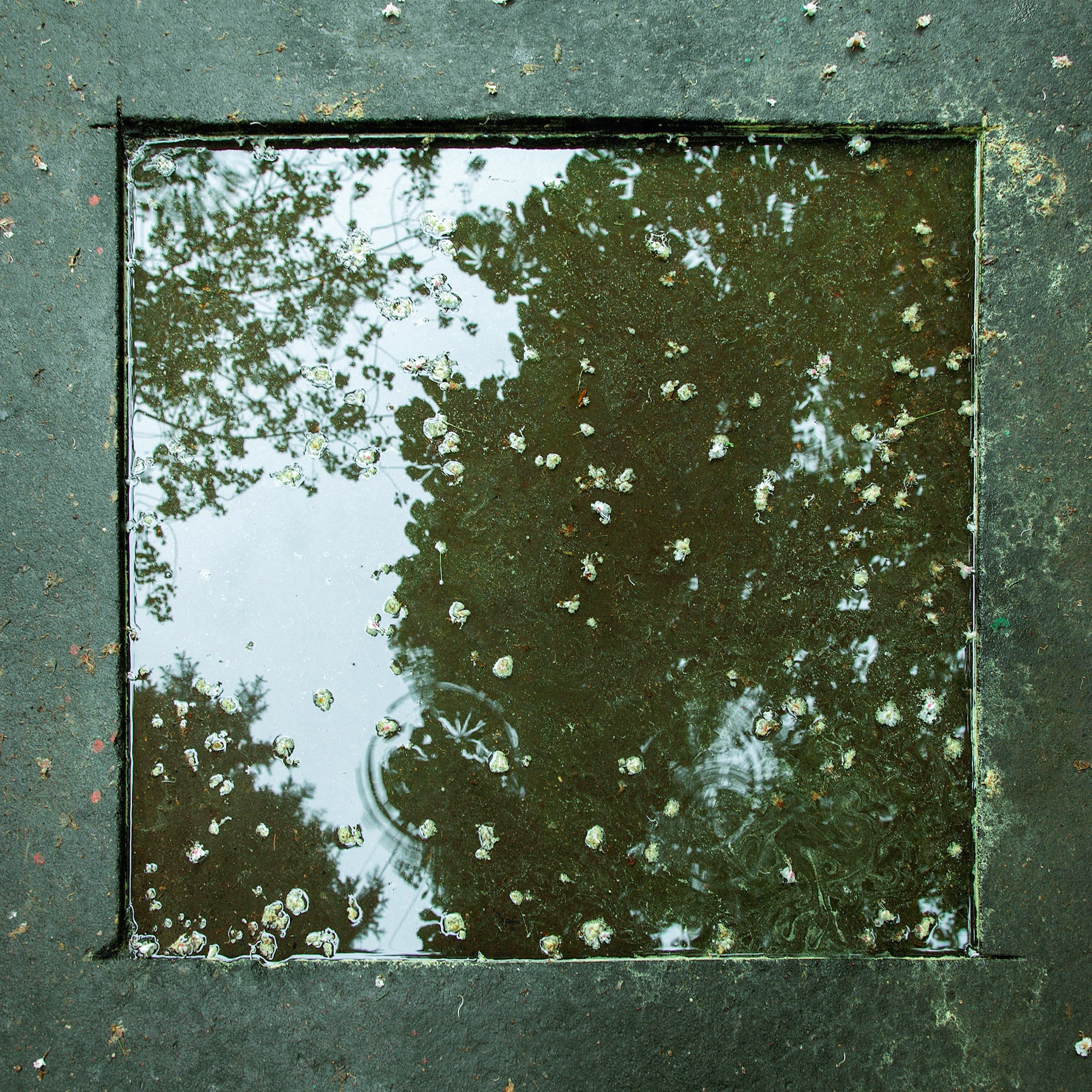 Симуляторы (Каталог № 1). Главная