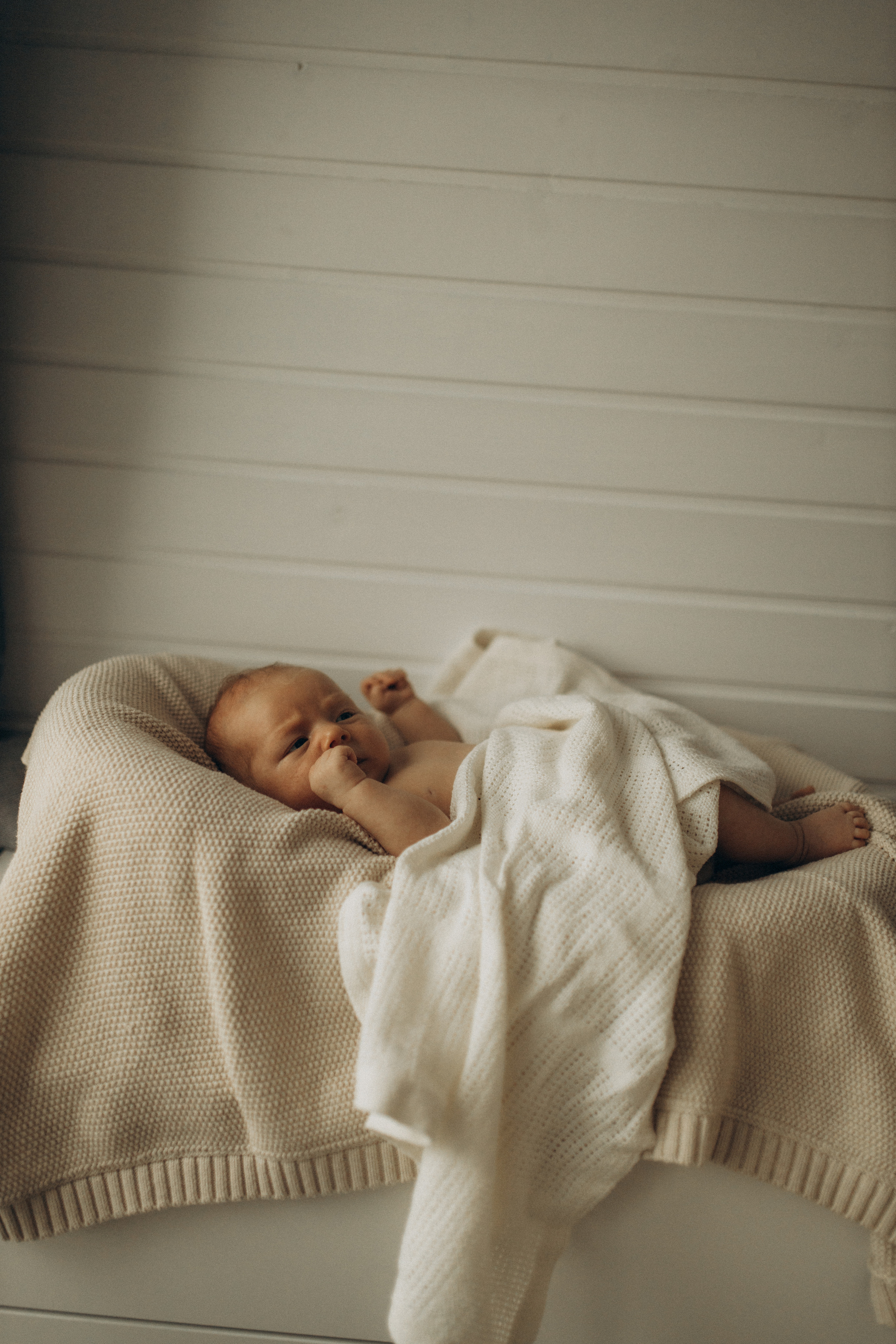 Коля, Рита, Саша. Семейный фотограф Оля Гладченко