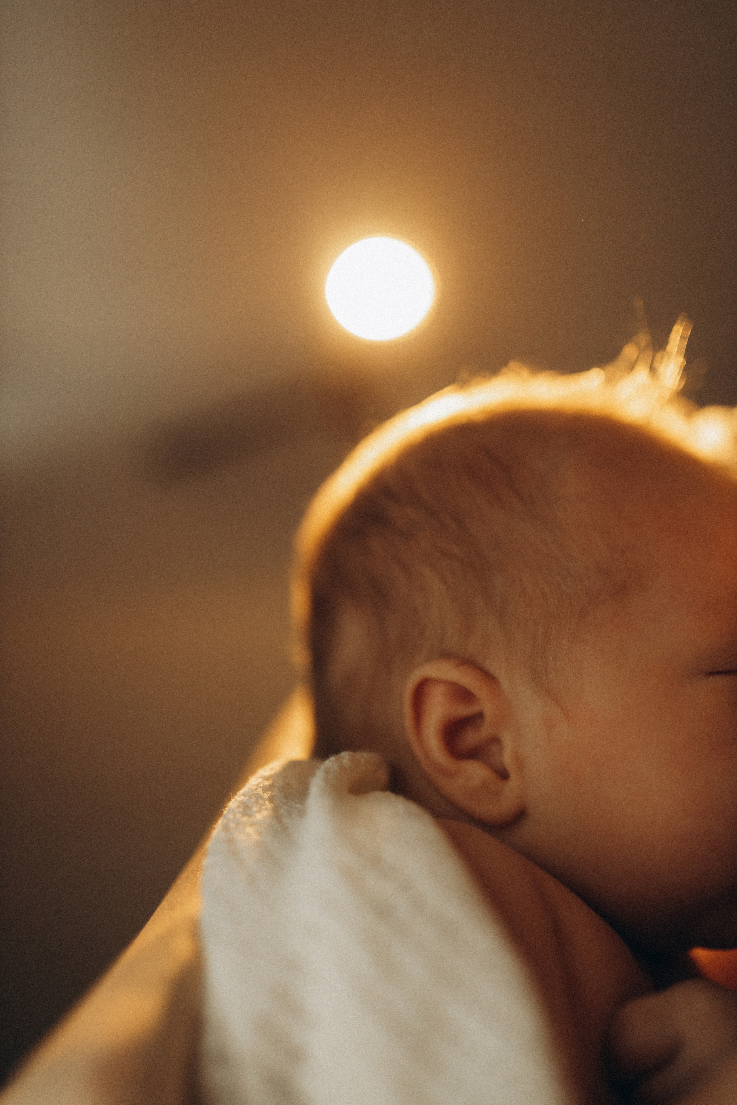 Коля, Рита, Саша. Семейный фотограф Оля Гладченко