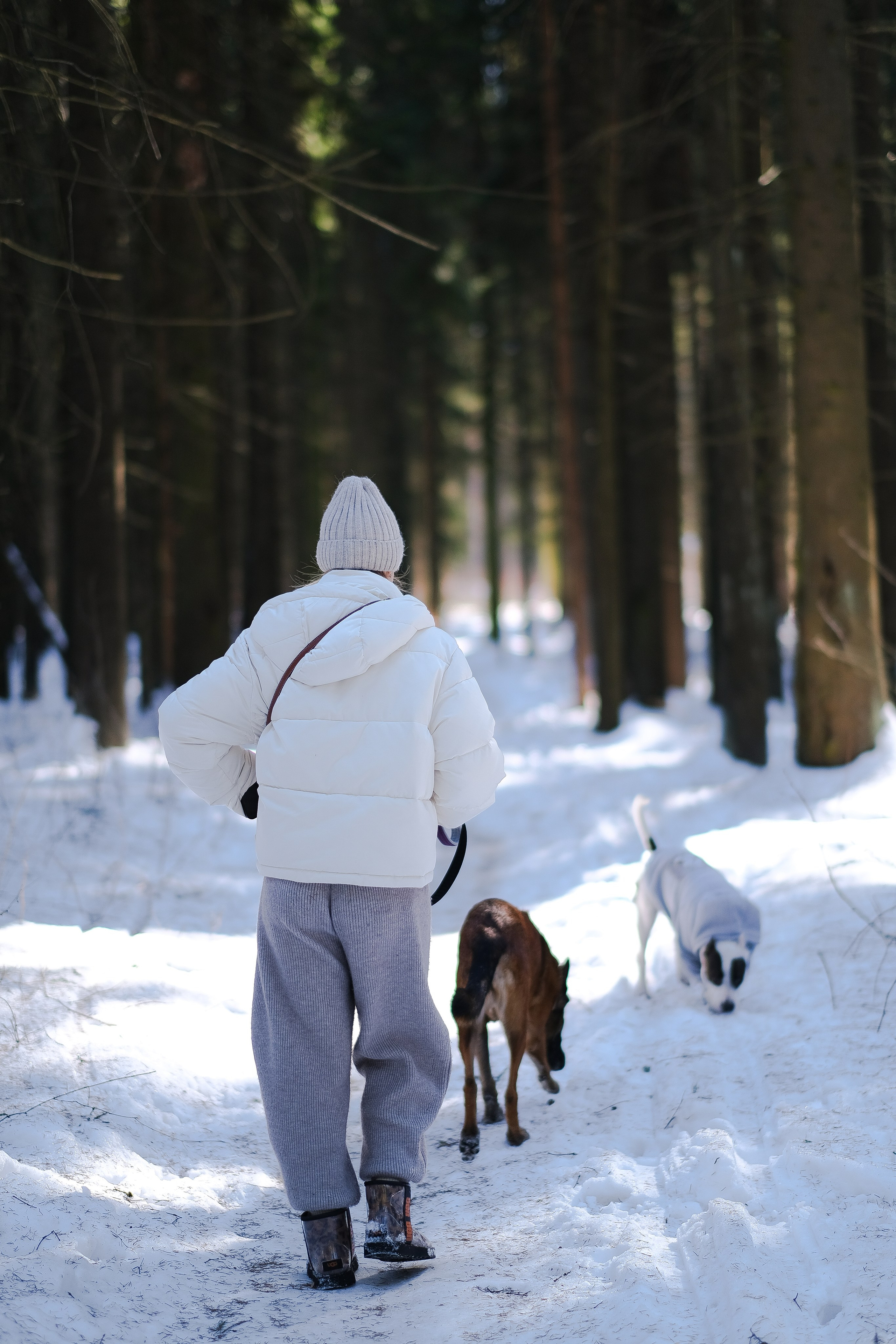 Женя, Афра и Молли. Фотограф и видеограф анималист Аганина Дарья