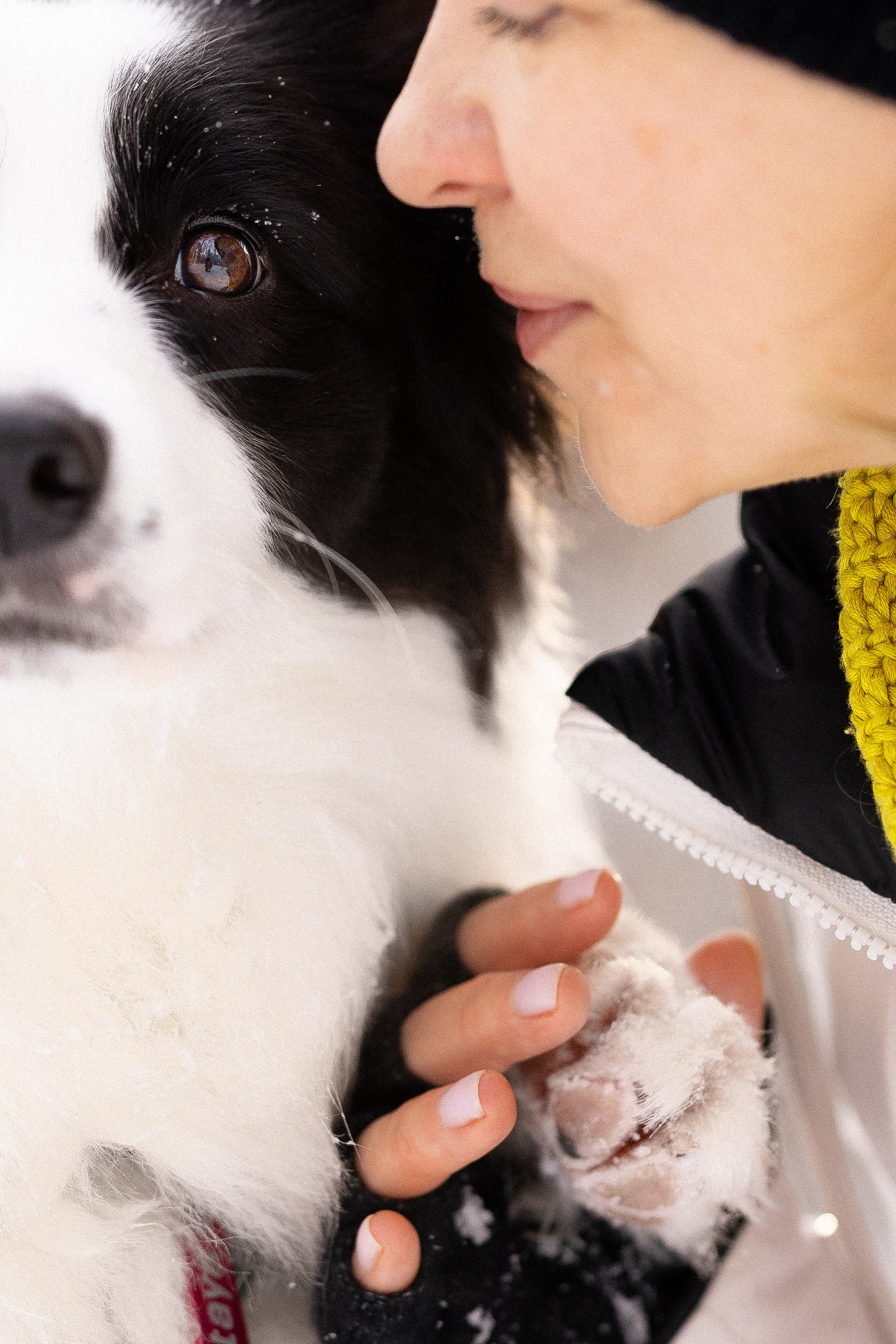 Лилия, Алексей и Ариана. Фотограф и видеограф анималист Аганина Дарья