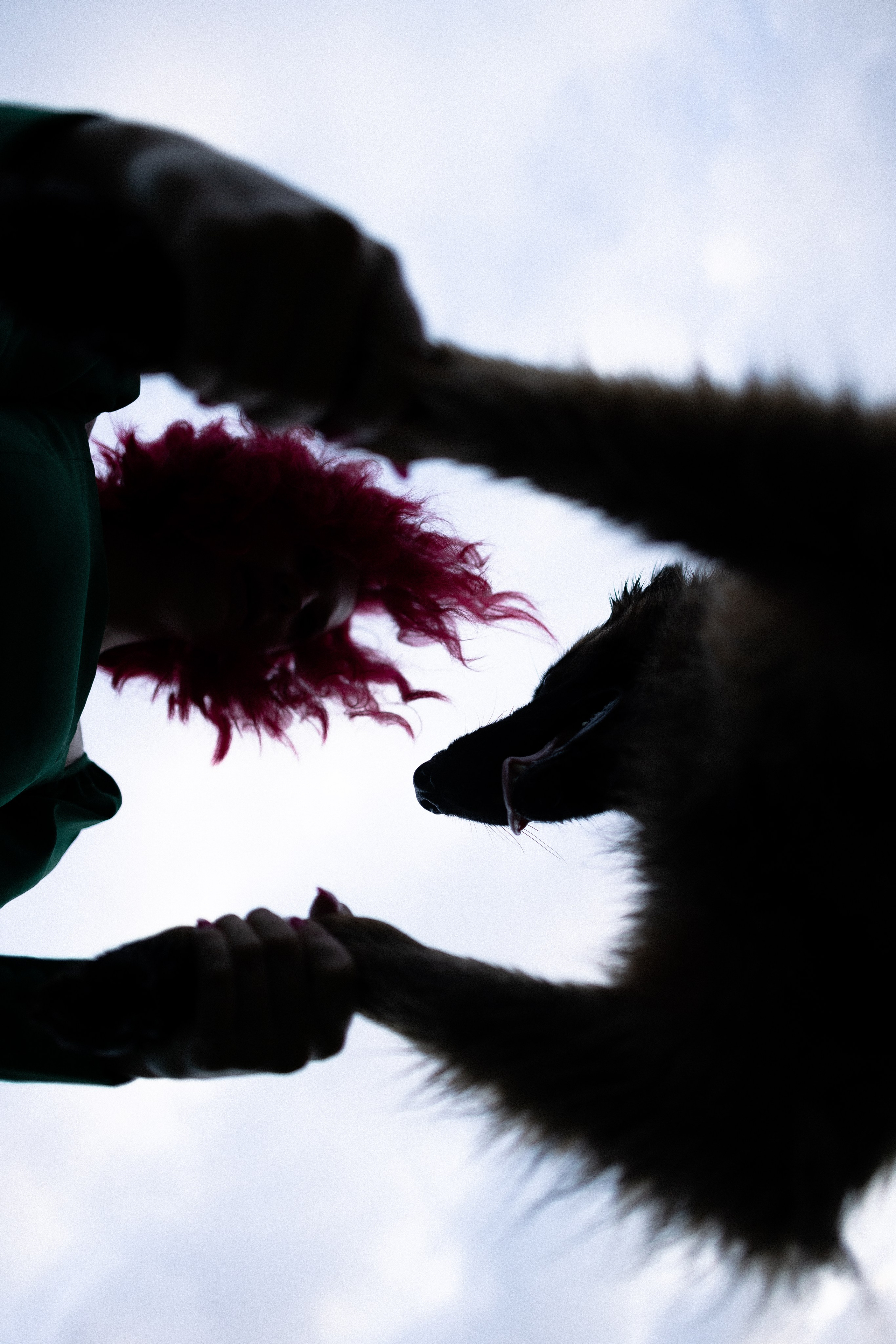 Алена, Фанни и Фрея. Фотограф и видеограф анималист Аганина Дарья