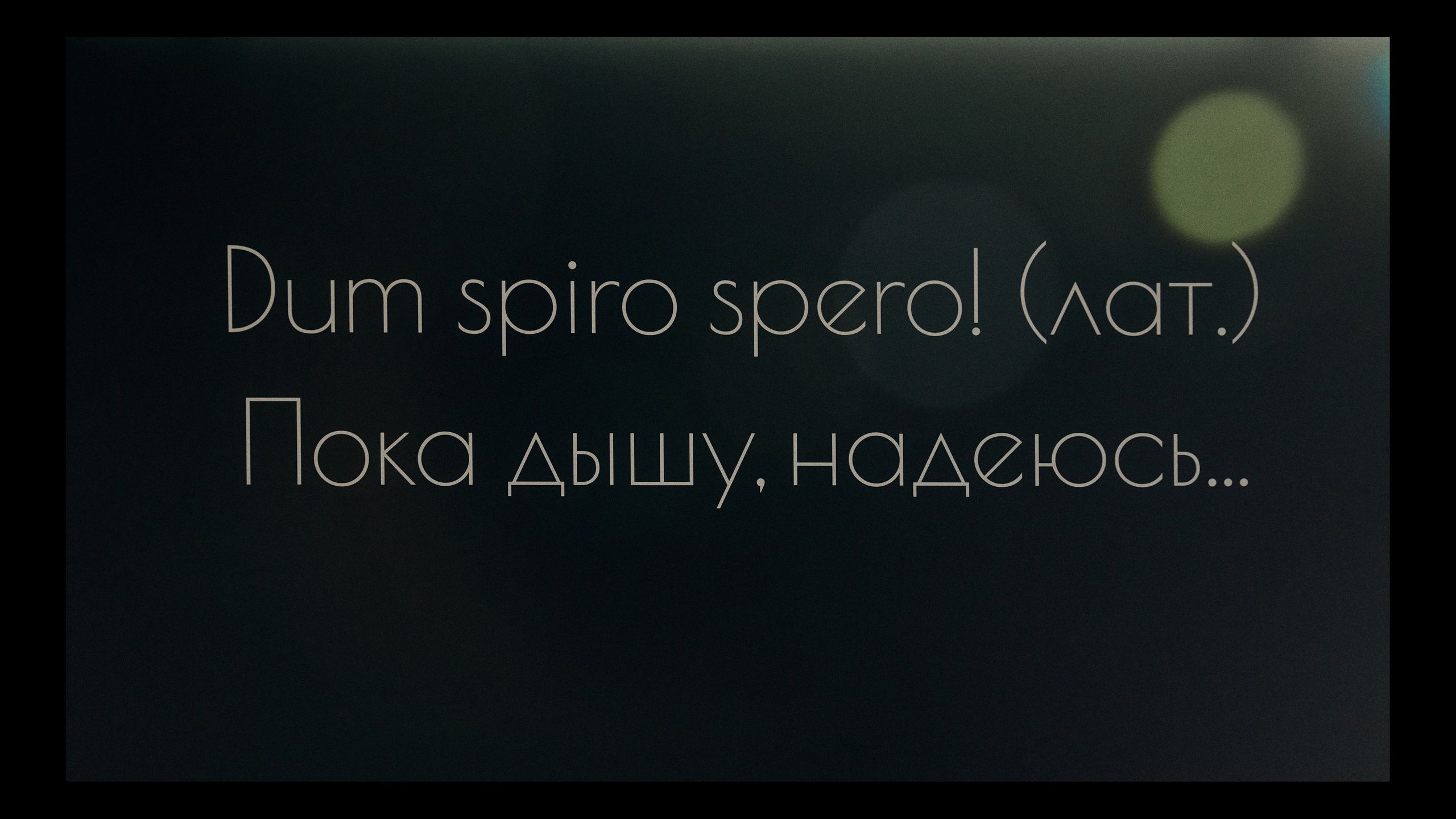 EVGENIY BIRTHDAY. Дмитрий Мазуркевич: Профессиональный Репортажный Фотограф