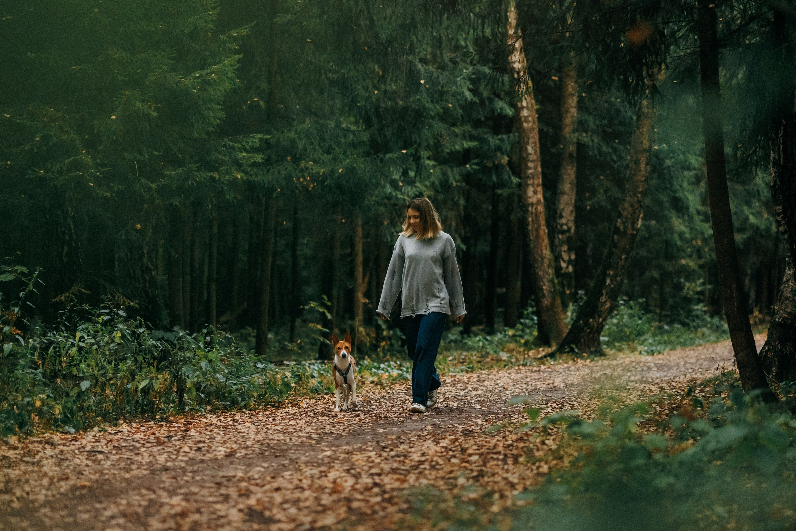 Лена и Джин. Фотограф-анималист Елена Радченко, Москва