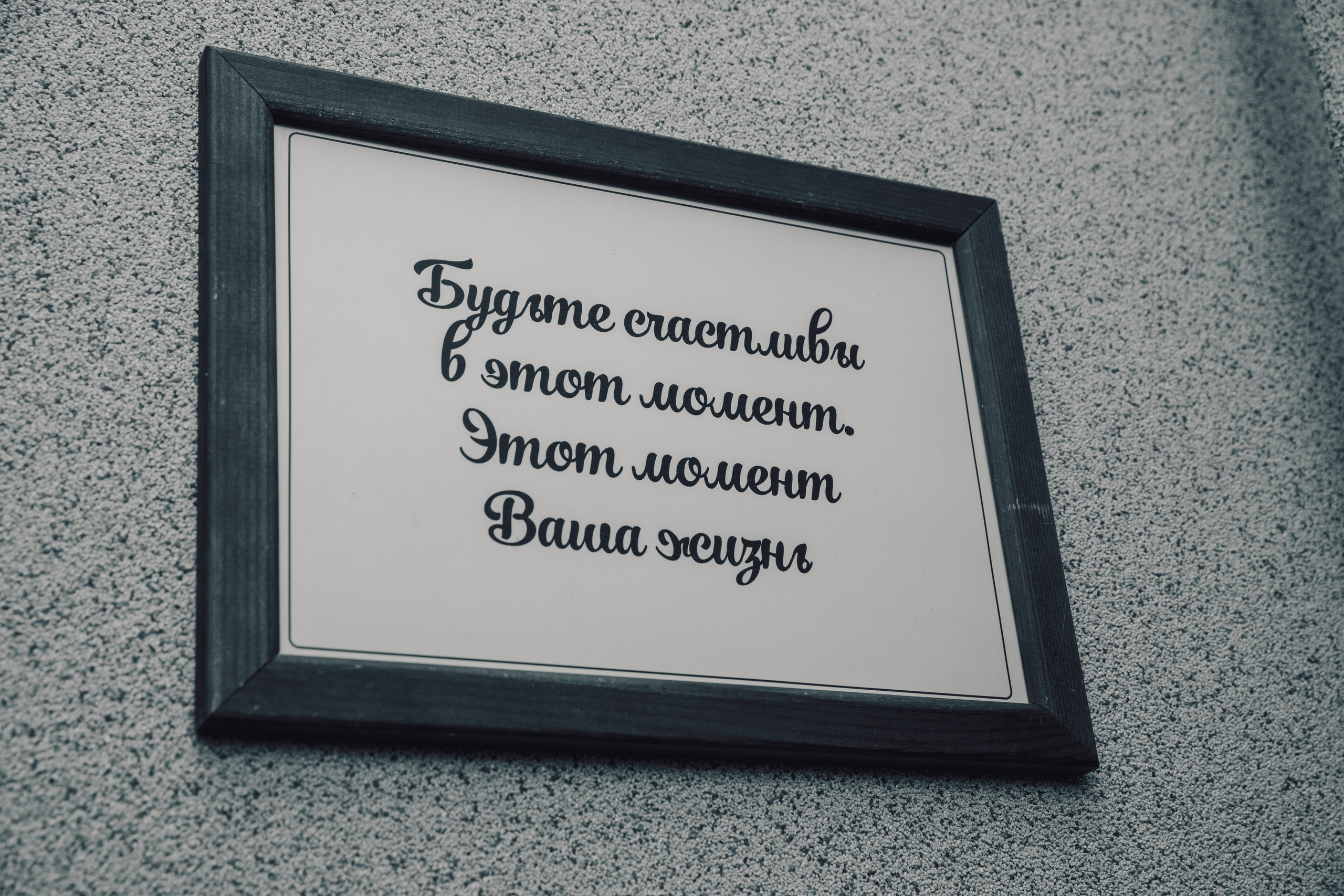 03.09.2025 Открытие АНО Возможно. Фотограф в Санкт-Петербурге Алена Сертакова
