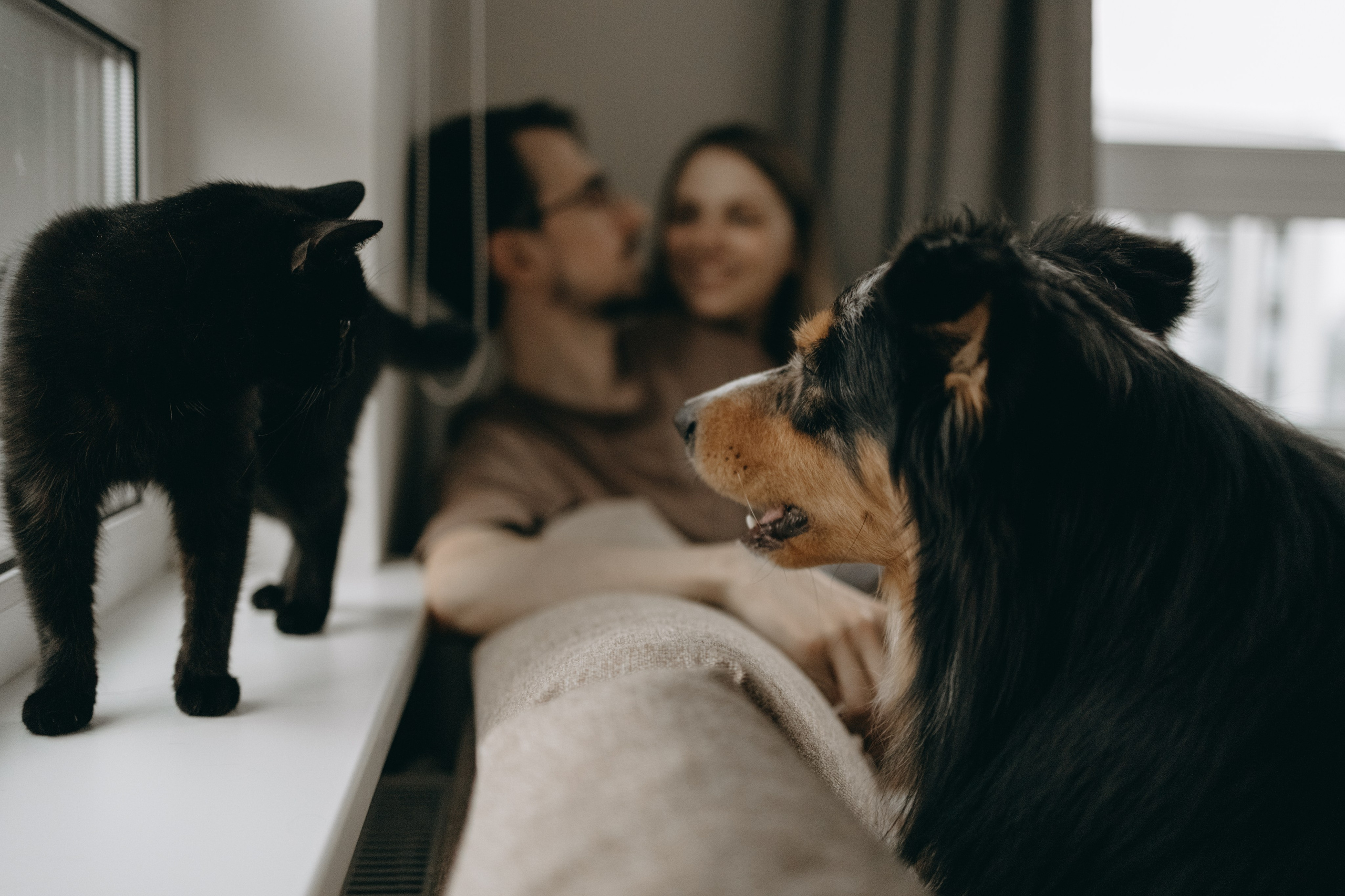 Настя, Никита и их Гром и Мяу. Фотограф — Анималист | Санкт-Петербург