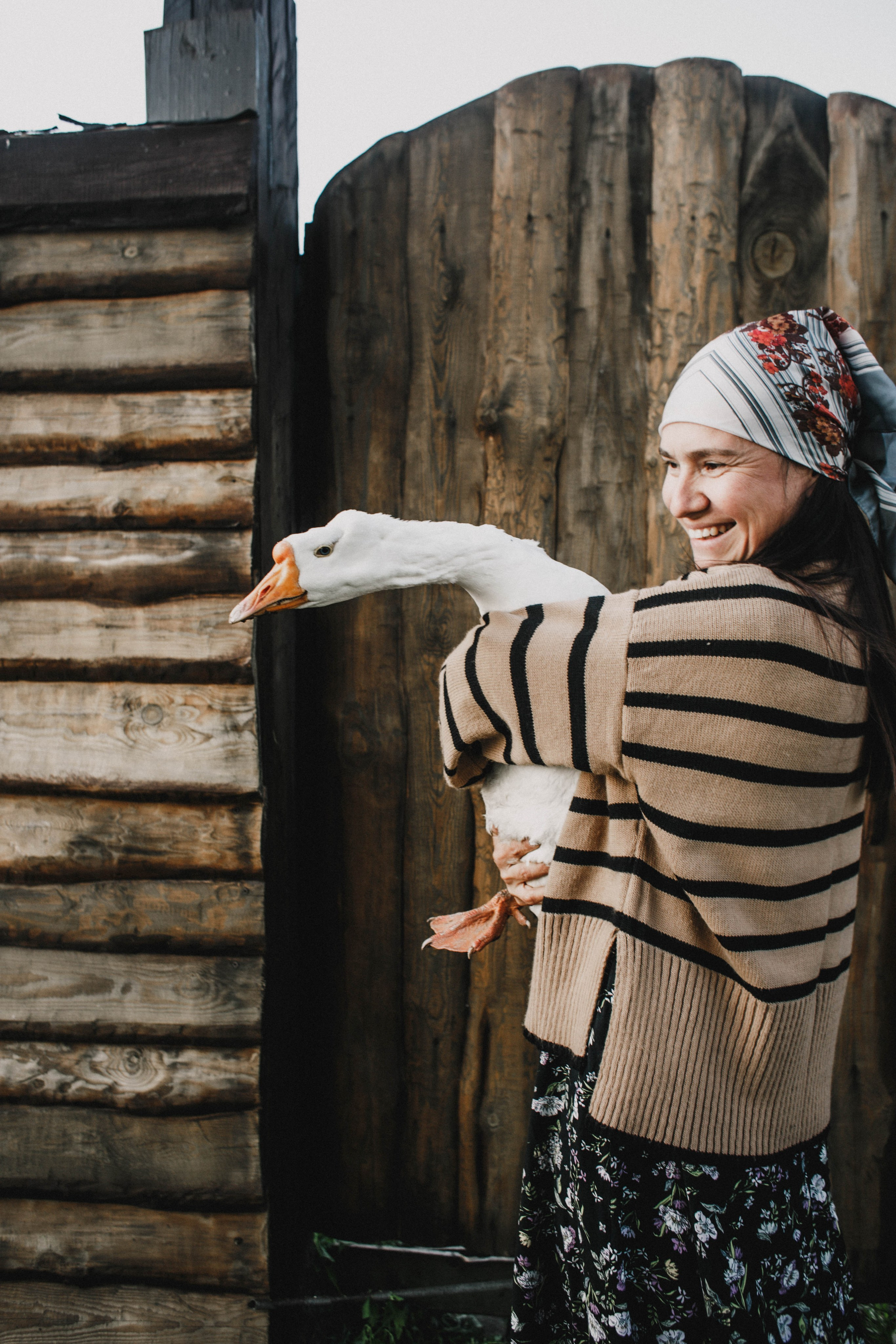 Варвара. Лошади. Закат. Фотограф в Нижнем Новгороде