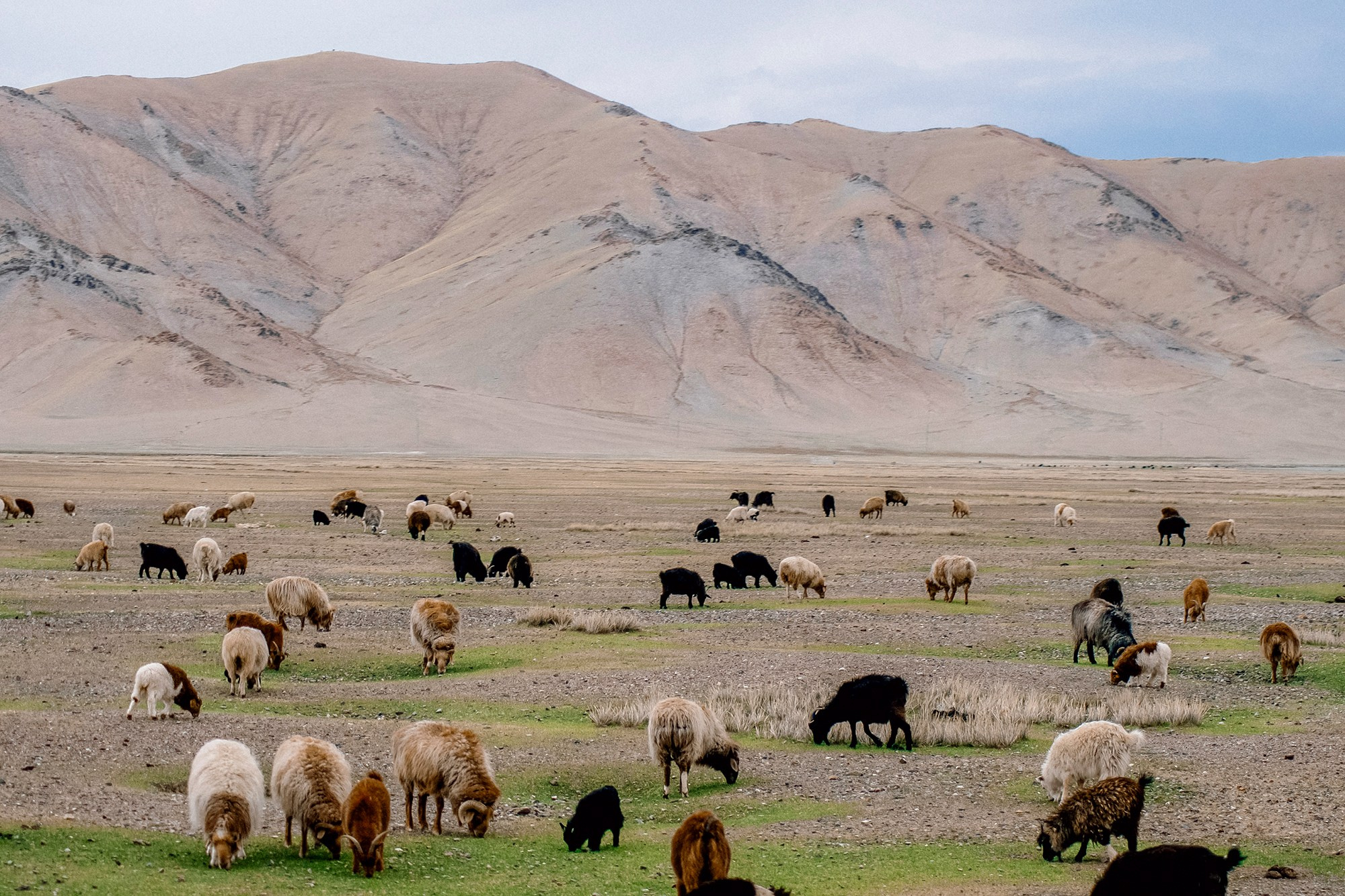 Mongolia landscape. Iraogo