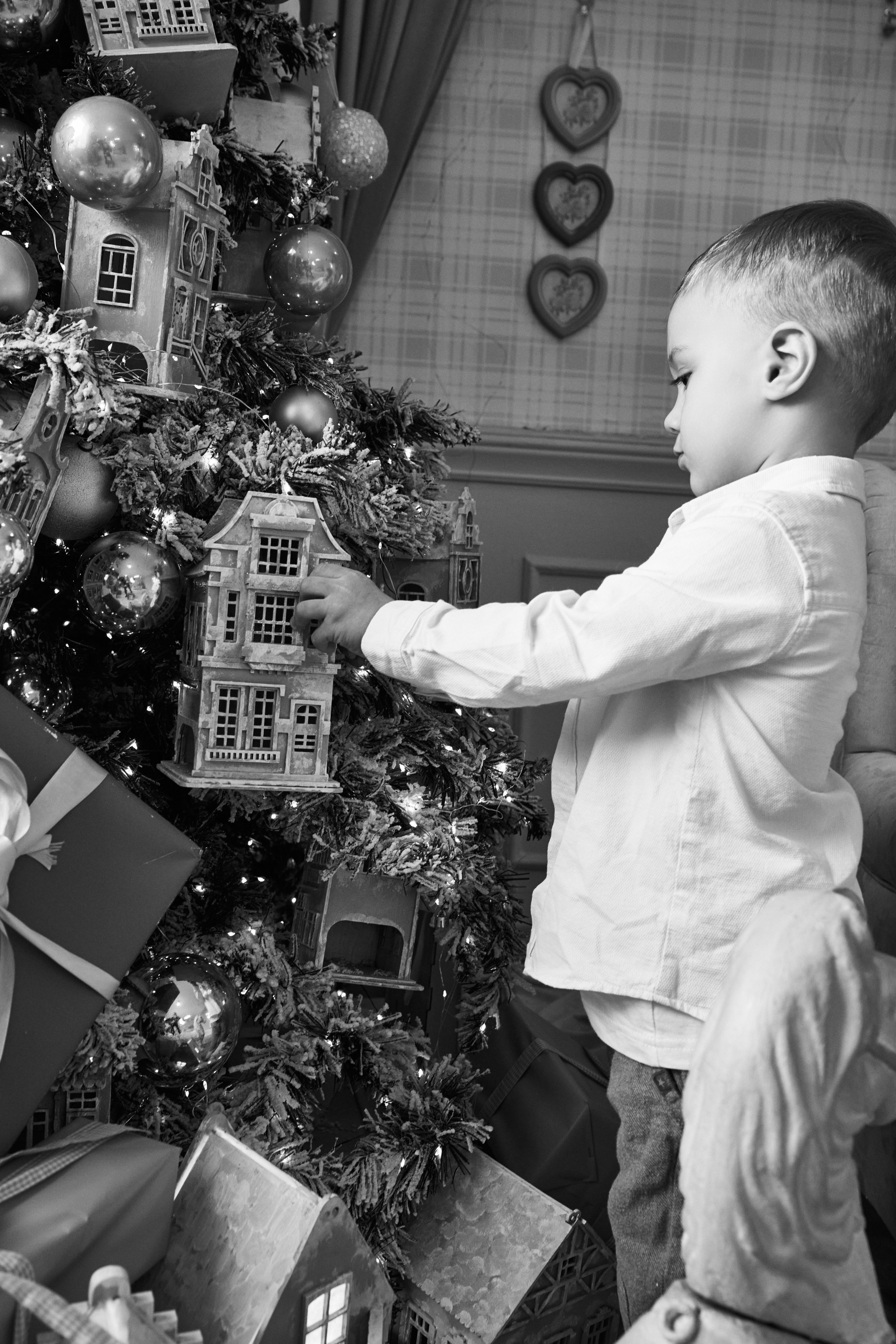 Богдан. Фотограф в Краснодаре Татьяна Вижевитова