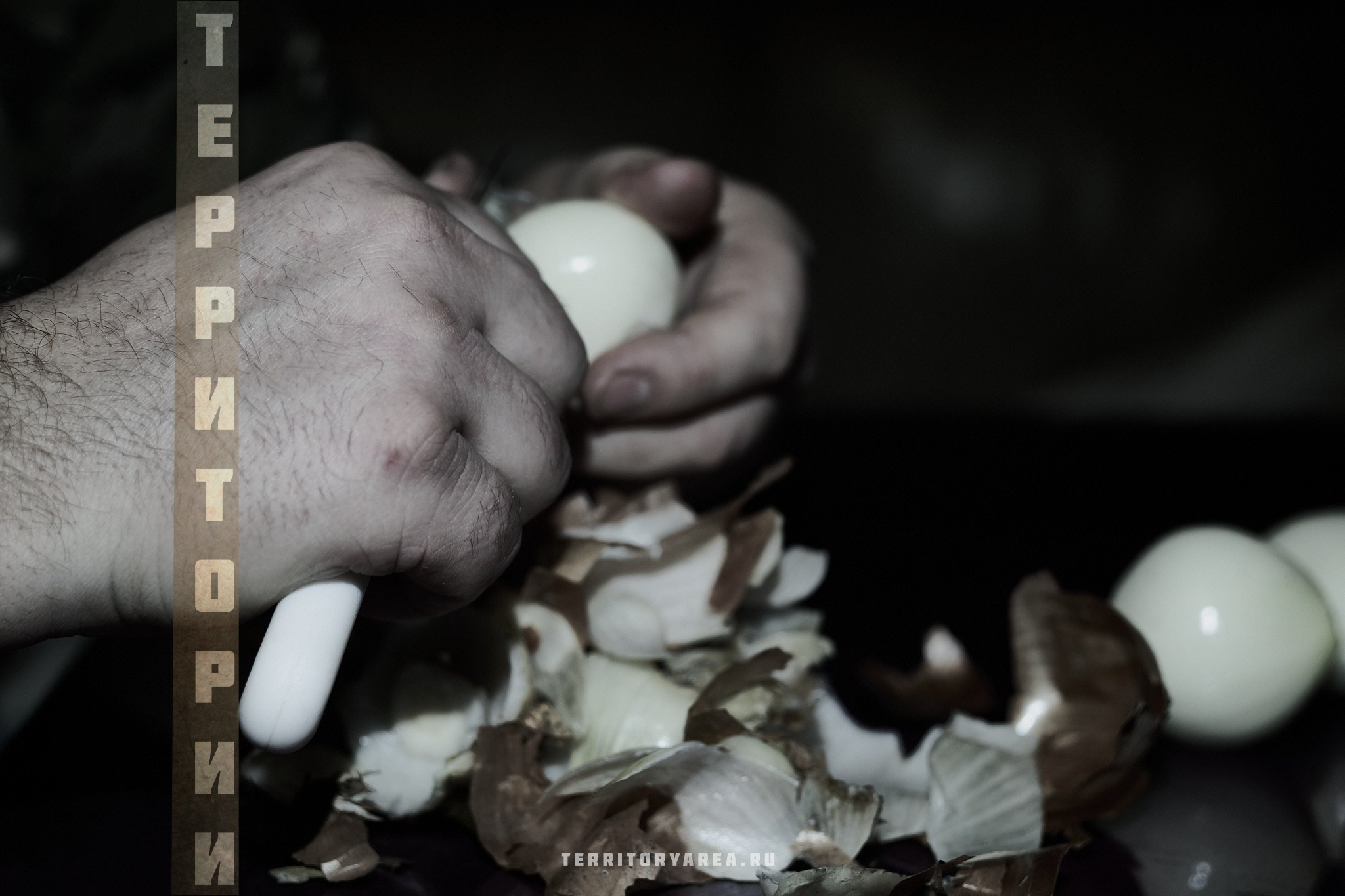 Открытки фотопроекта «Территории». Фотопроект «Территории»