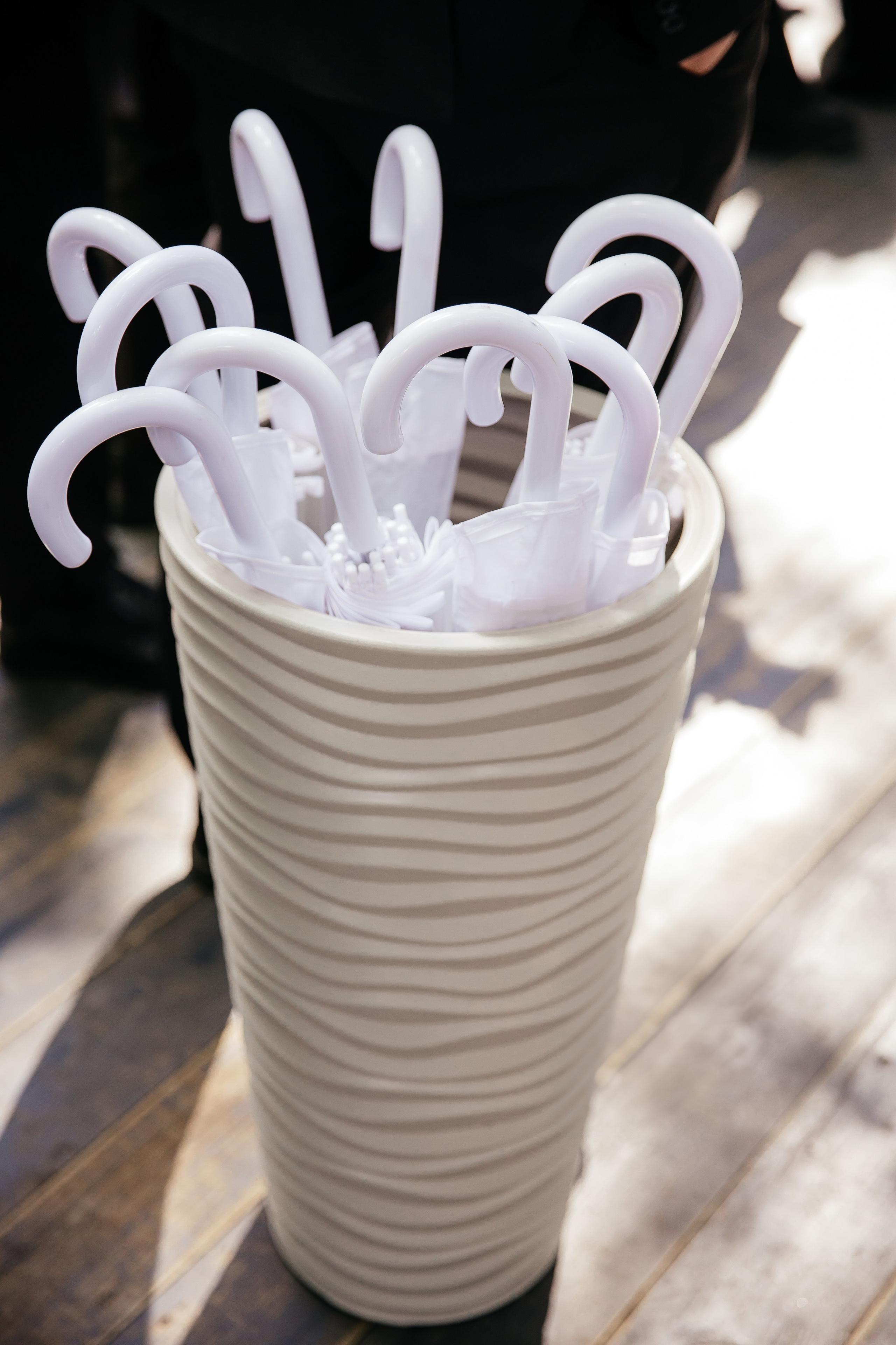 Veronika&Nikita. Валерия Солнцева свадебный и семейный фотограф