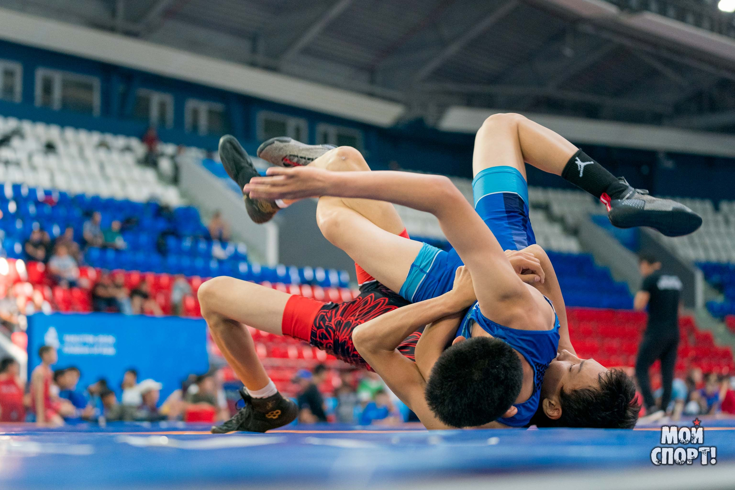 Соревнования по вольной борьбе в честь П. П. Пинигина. Студия «Мой Спорт!» — все о спорте в Якутии