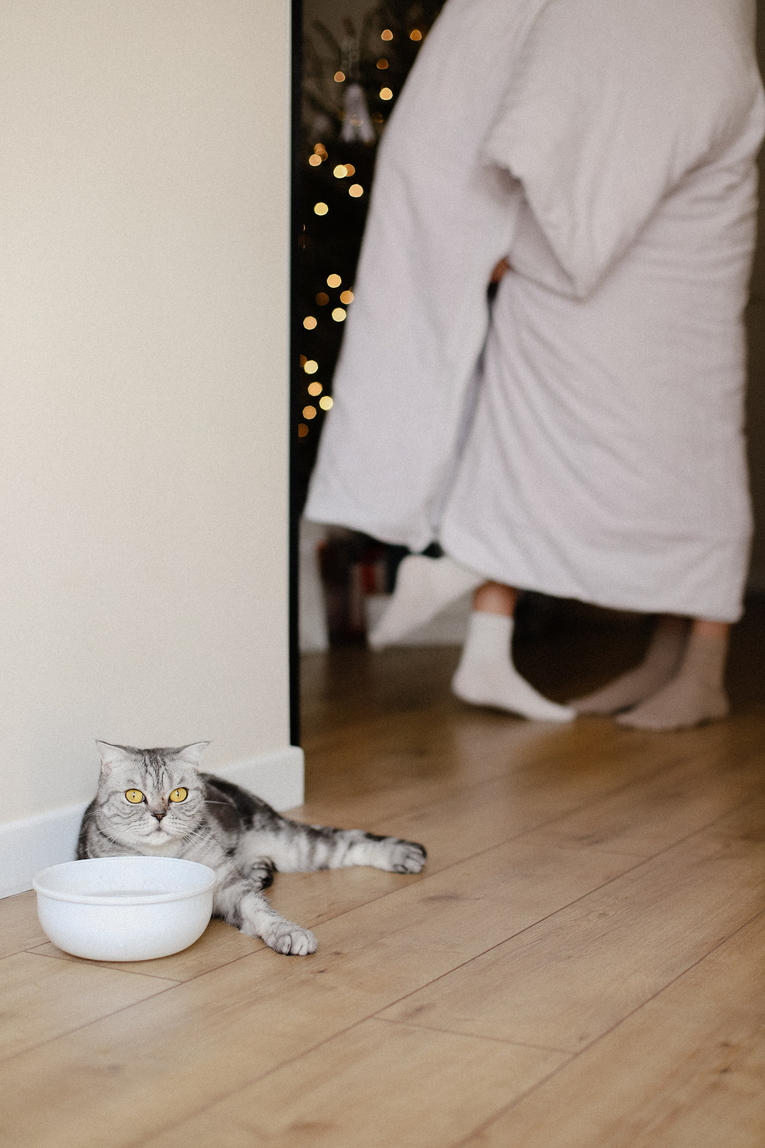 Завтрак и кофе. Фотограф в Алматы и Москве Даша Пушкина