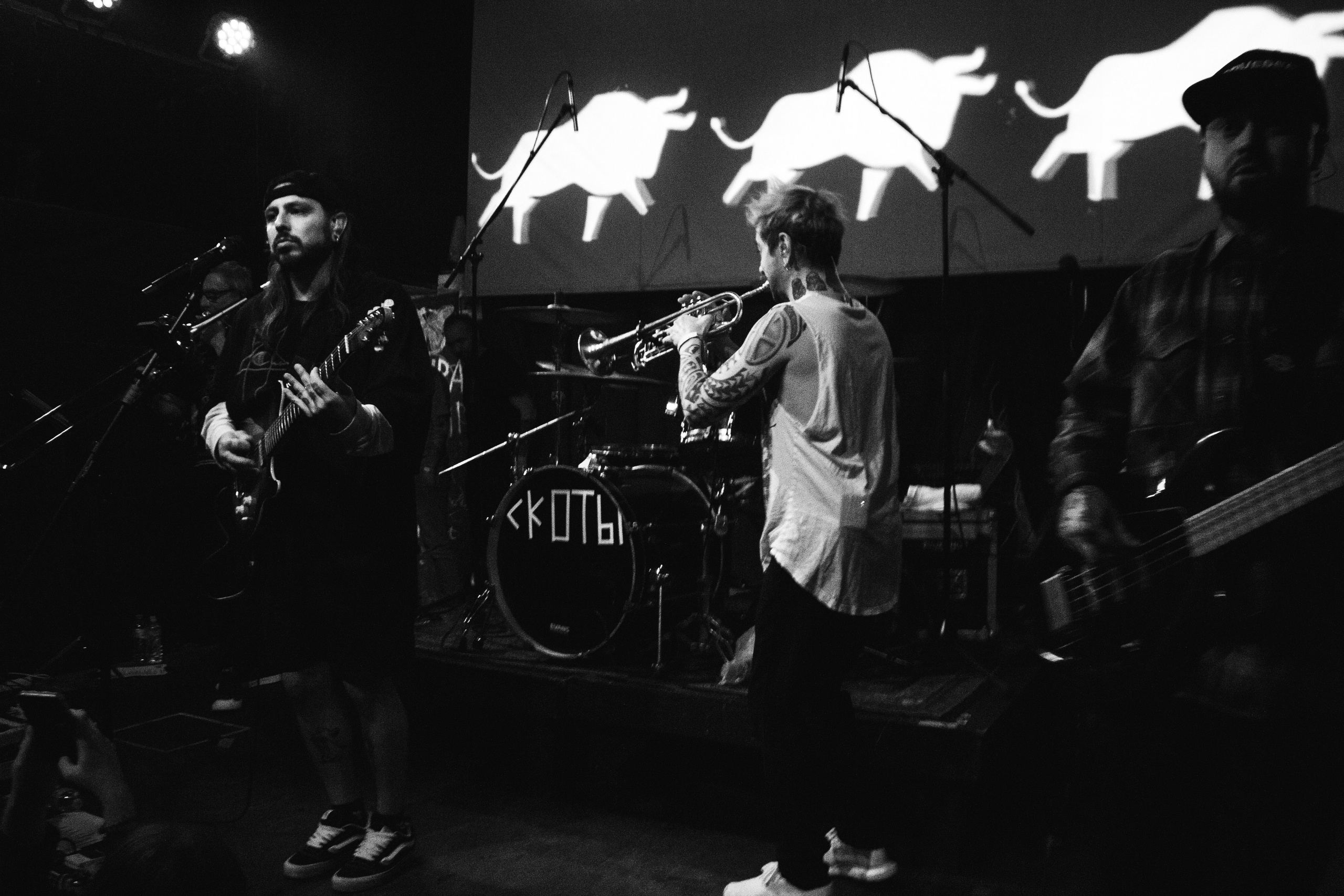 СКОТЫ | 11.12.2024 | ЛАСТОЧКА. VLADIS PISKUNOV | Концертные Фото |Репортажи