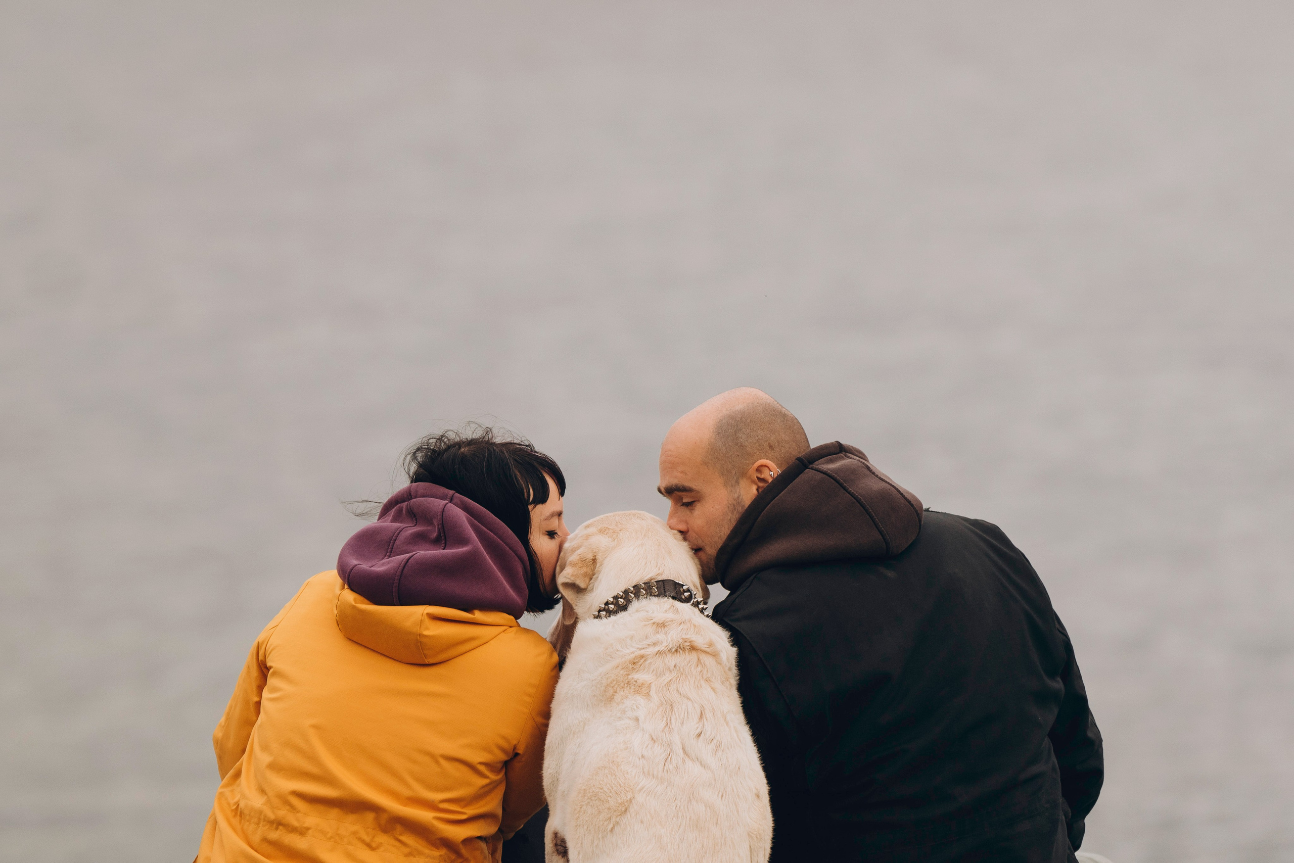 Вати, Лена и Леван. Фотограф анималист в Спб недорого Олеся Майорова