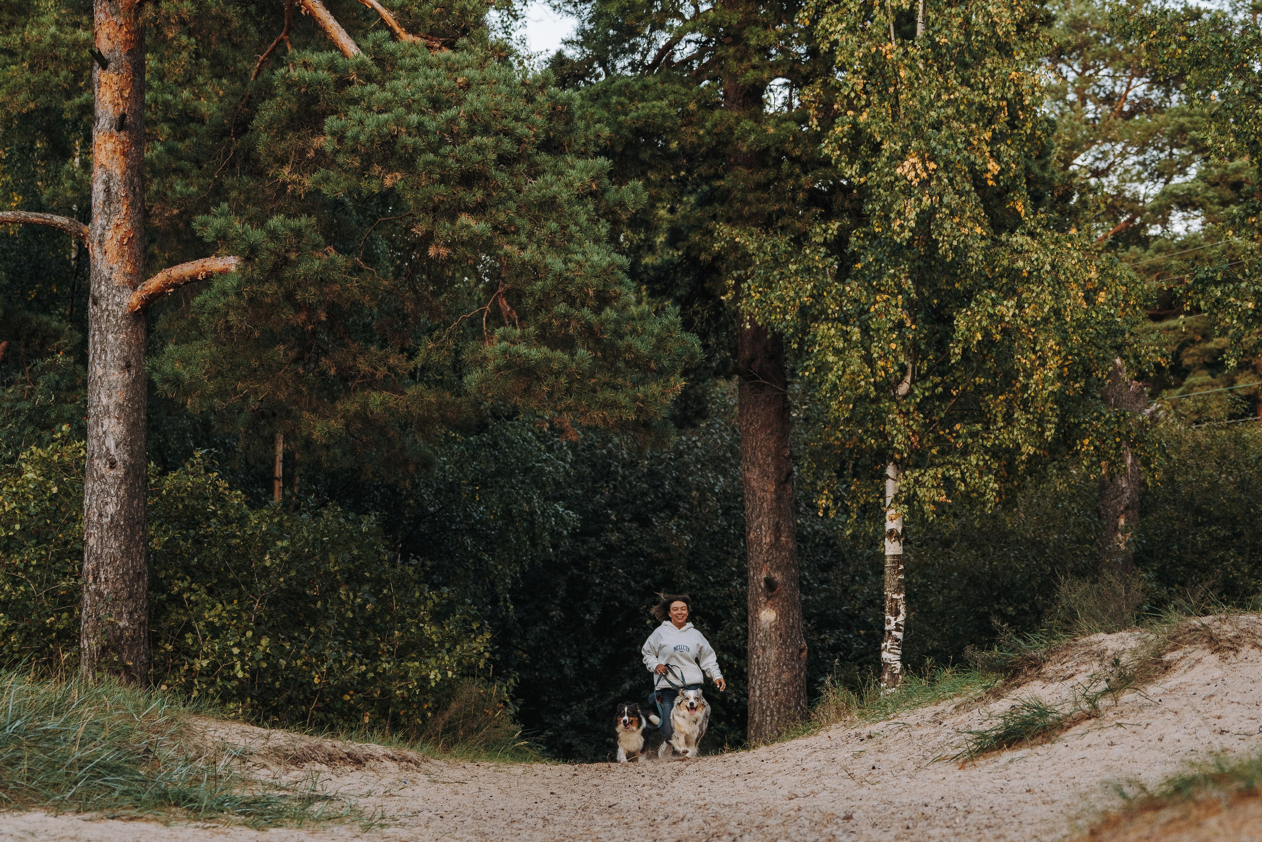 Фотограф анималист в Спб. Фотограф анималист в Спб недорого Олеся Майорова