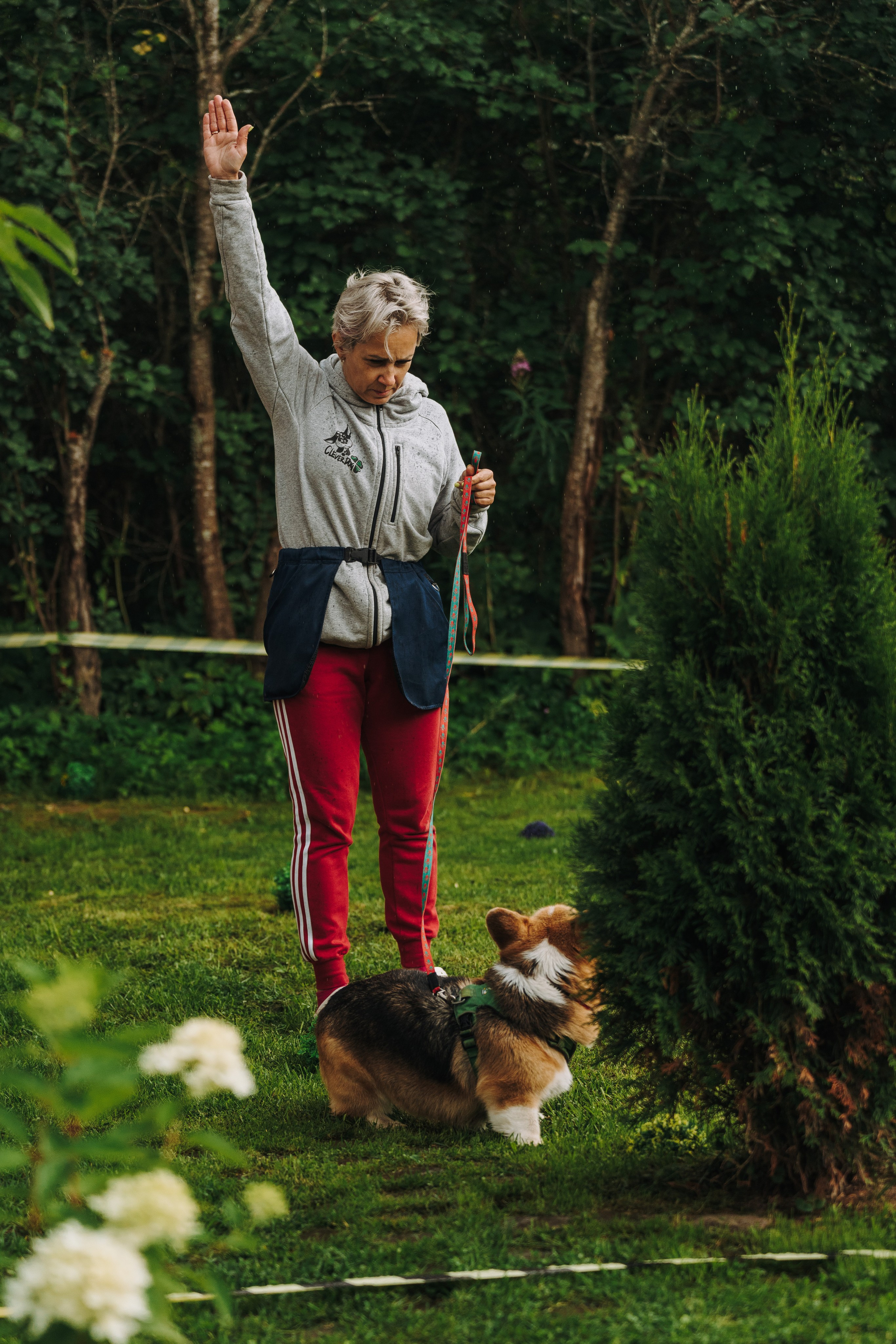 Соревнования по ноузворку в Новожилово. Фотограф анималист в Спб недорого Олеся Майорова