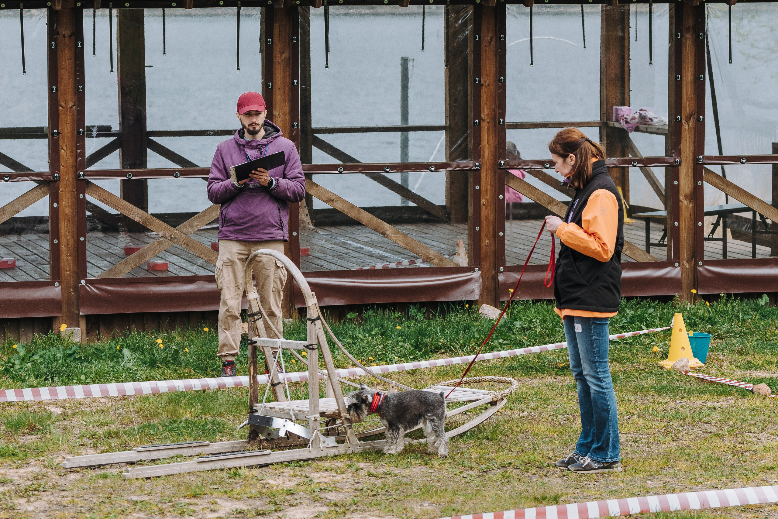Соревнования по ноузворку в Лосево. Фотограф анималист в Спб недорого Олеся Майорова