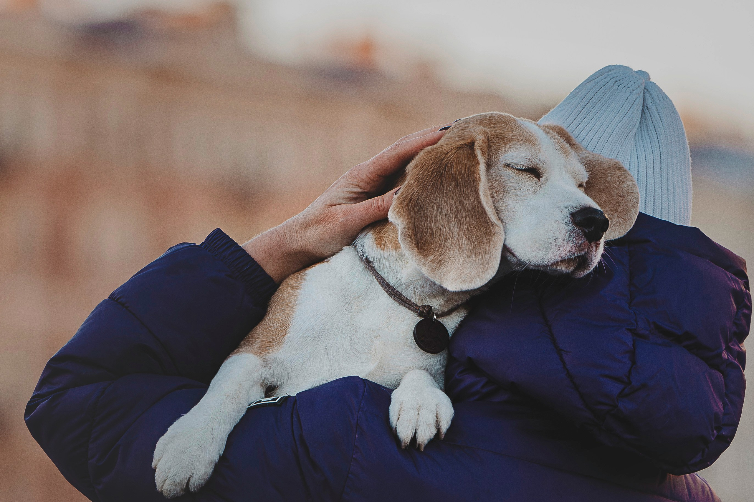 Ксения и Гаечка. Фотограф анималист в Спб недорого Олеся Майорова