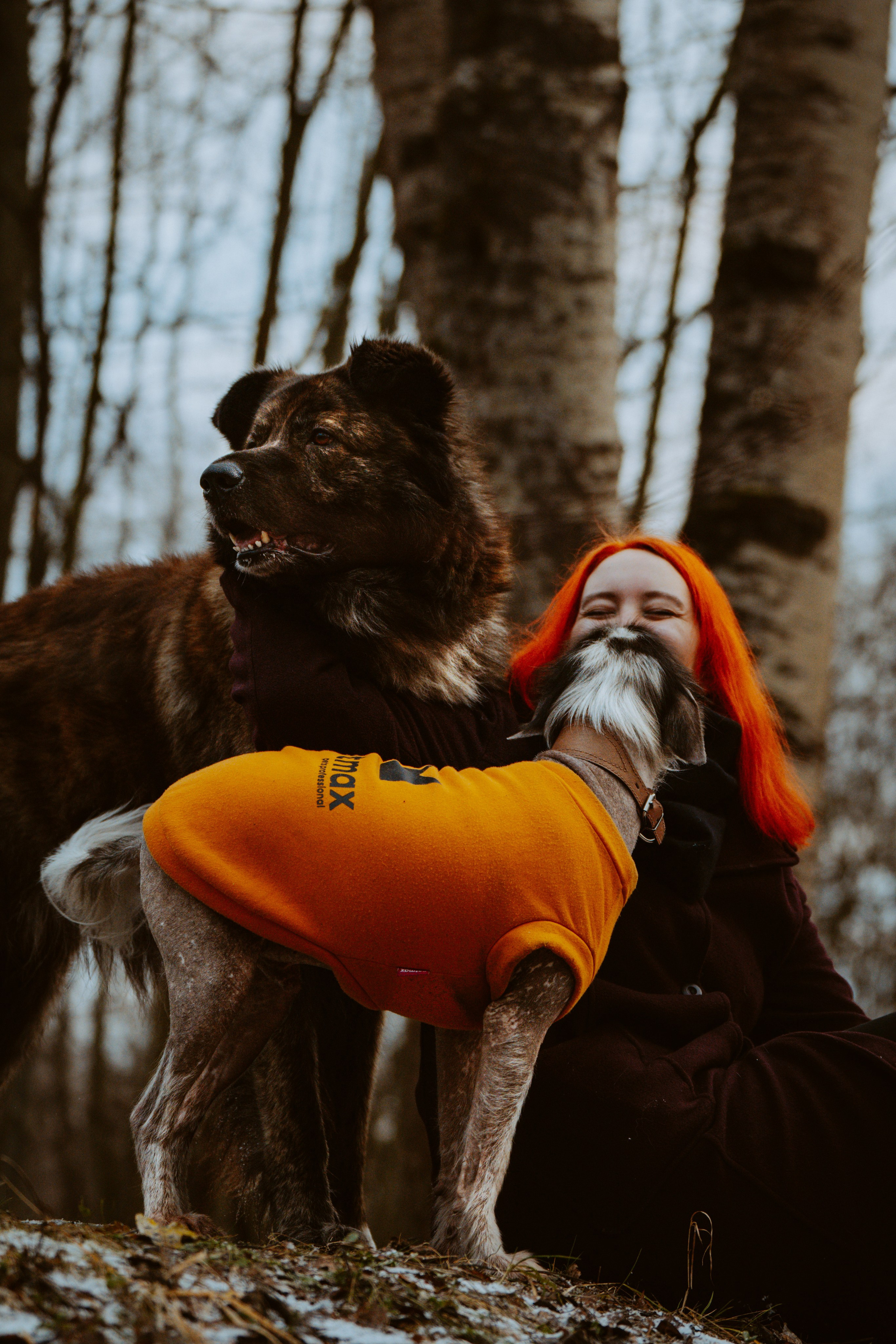 Творческая фотосессия фотографа анималиста. Фотограф анималист в Спб недорого Олеся Майорова