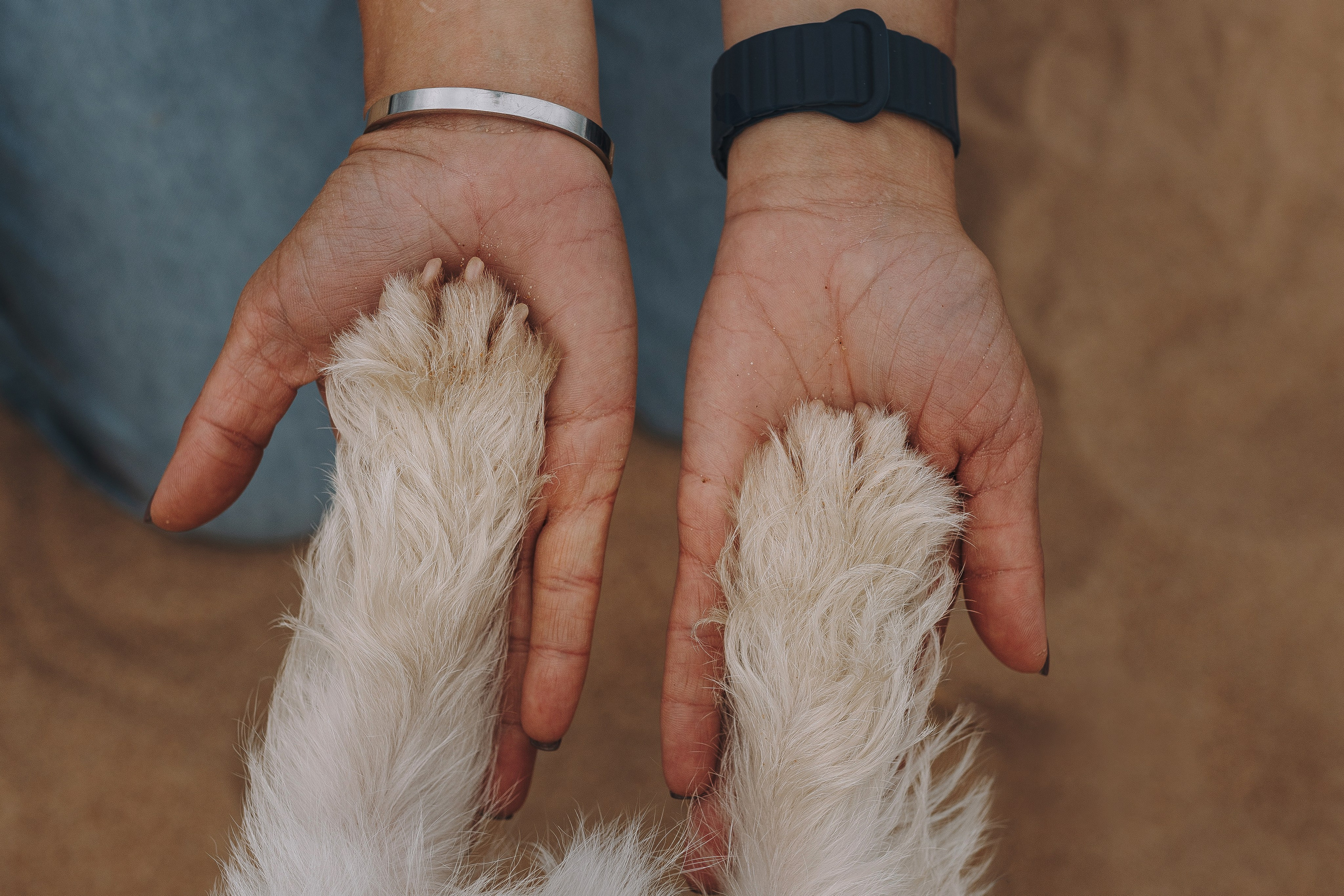 Оля, Ларс и Лукас. Фотограф анималист в Спб недорого Олеся Майорова