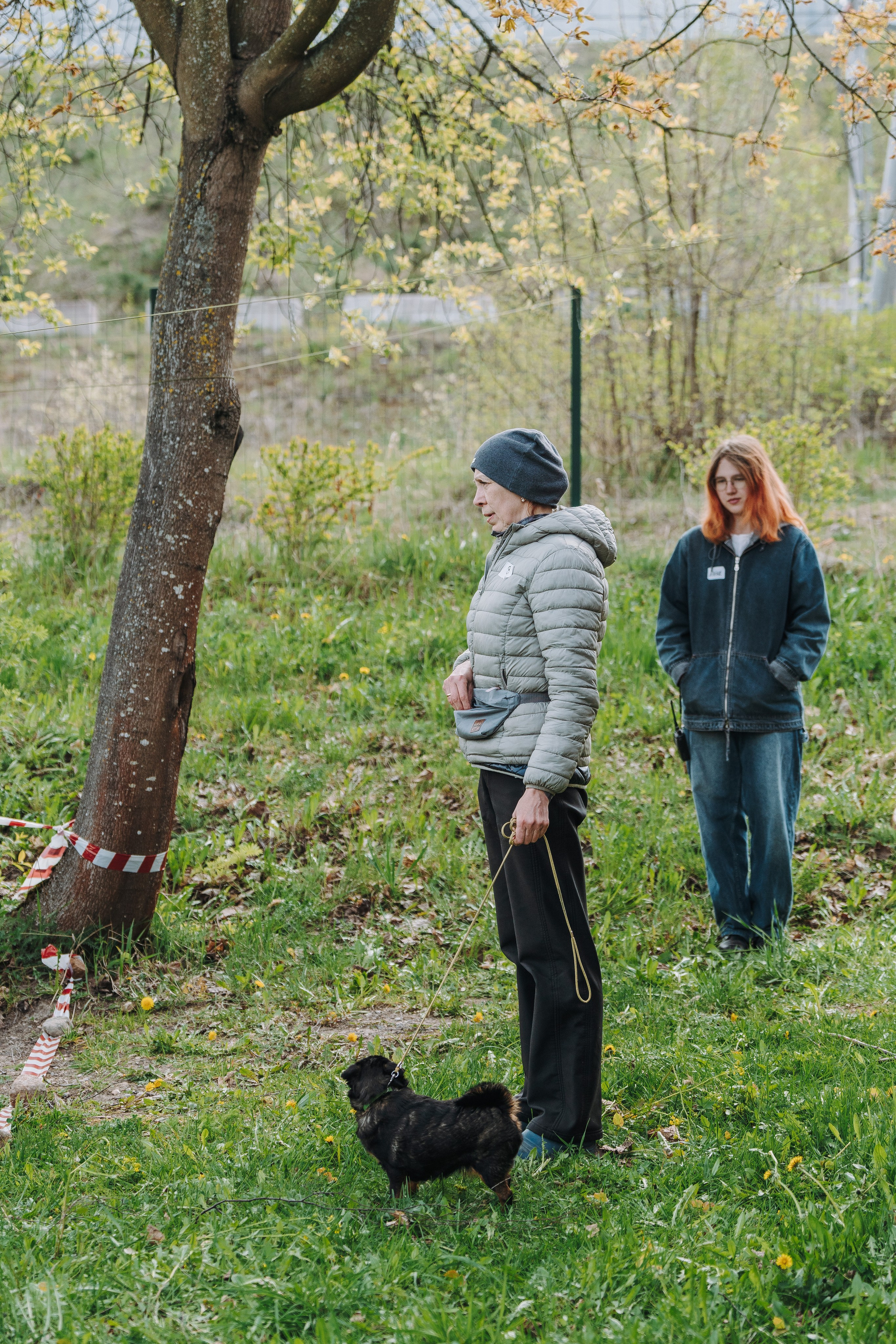 Соревнования по ноузворку в Лосево. Фотограф анималист в Спб недорого Олеся Майорова