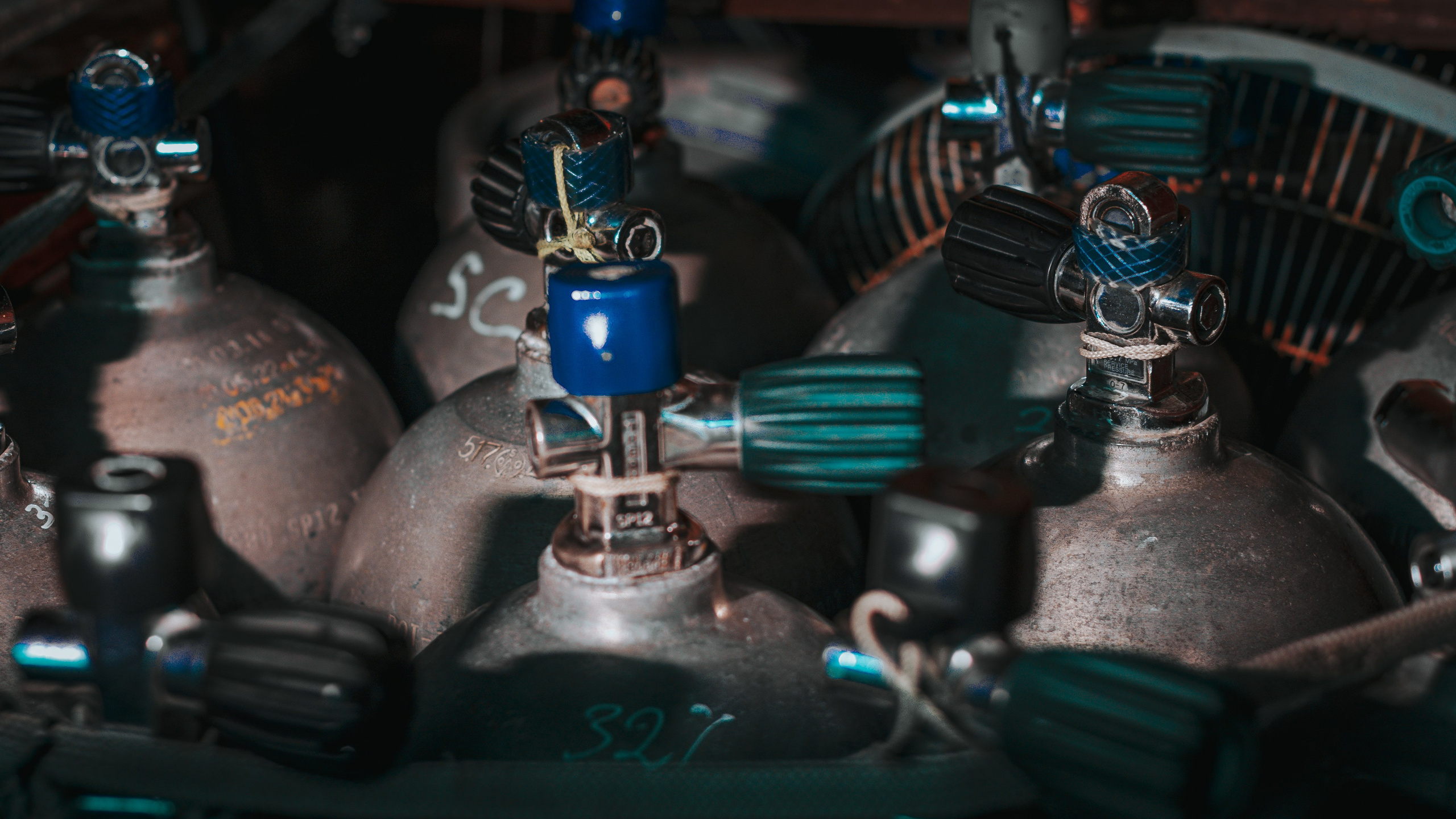 Галерея. Дайвинг во Вьетнаме