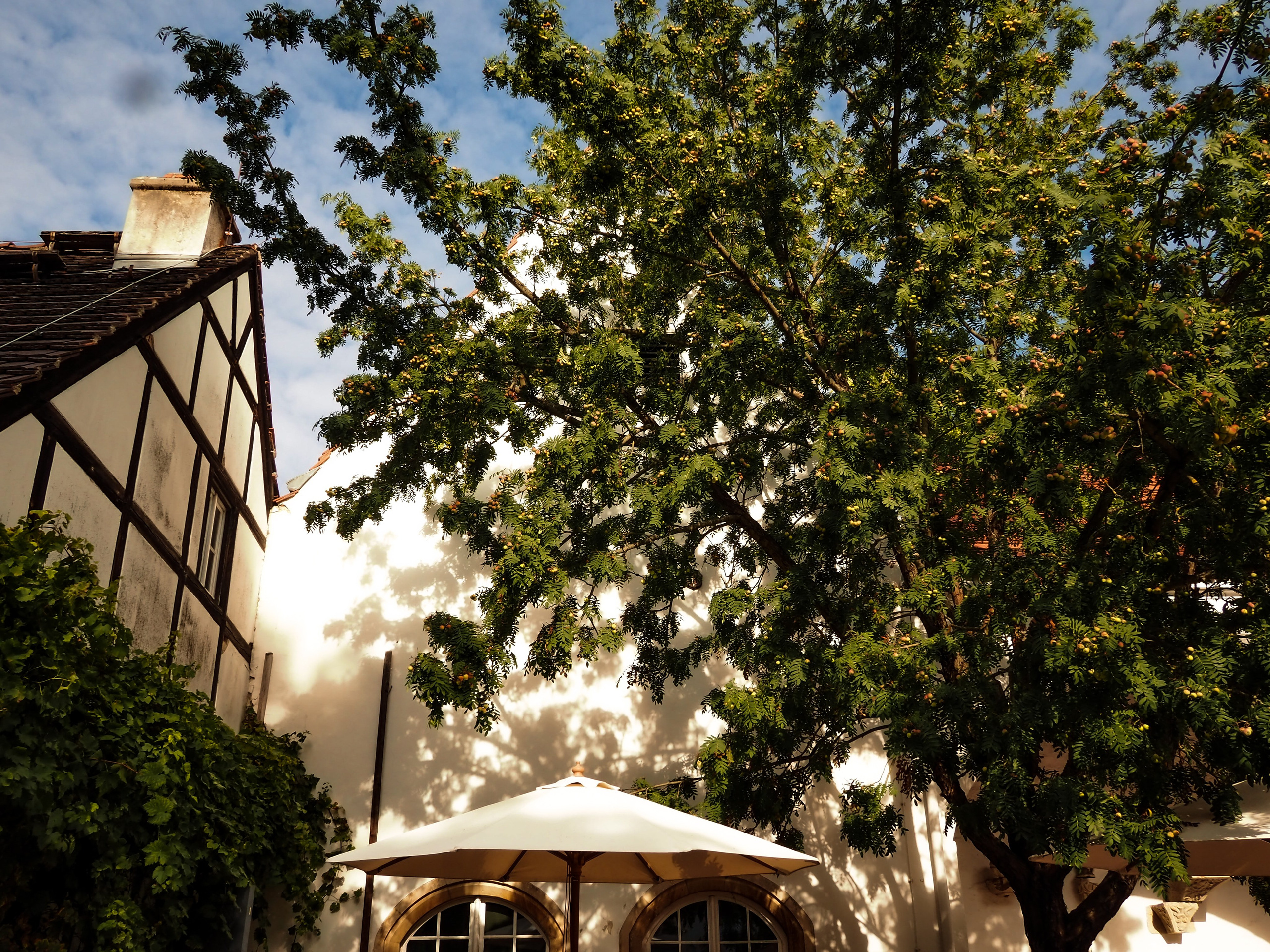 Berlin. Grunewald. Reportage photographer in Berlin Alexandra German