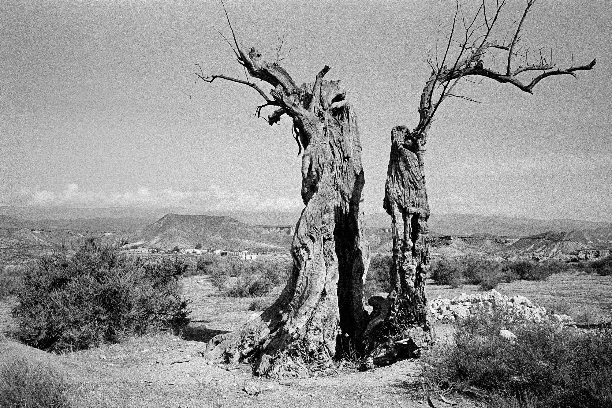 Memories of Spain. Документальный фотограф Алексей Мякишев, Москва