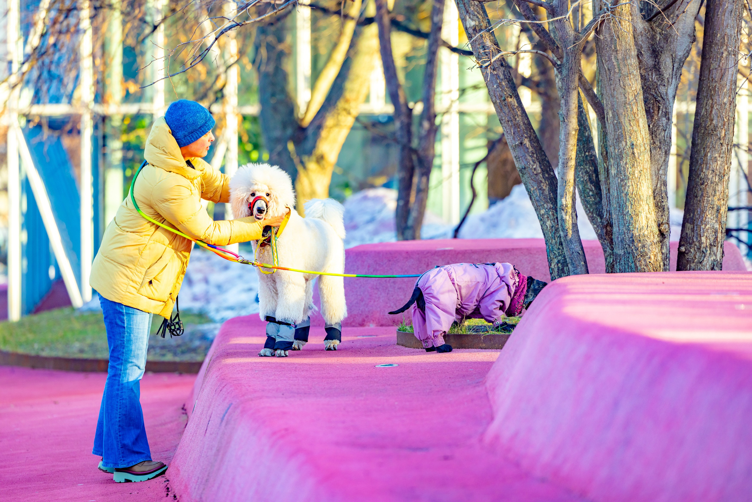 Клуб грумеров (прогулка и семинары). Виктория Зудина — фотограф в Москве